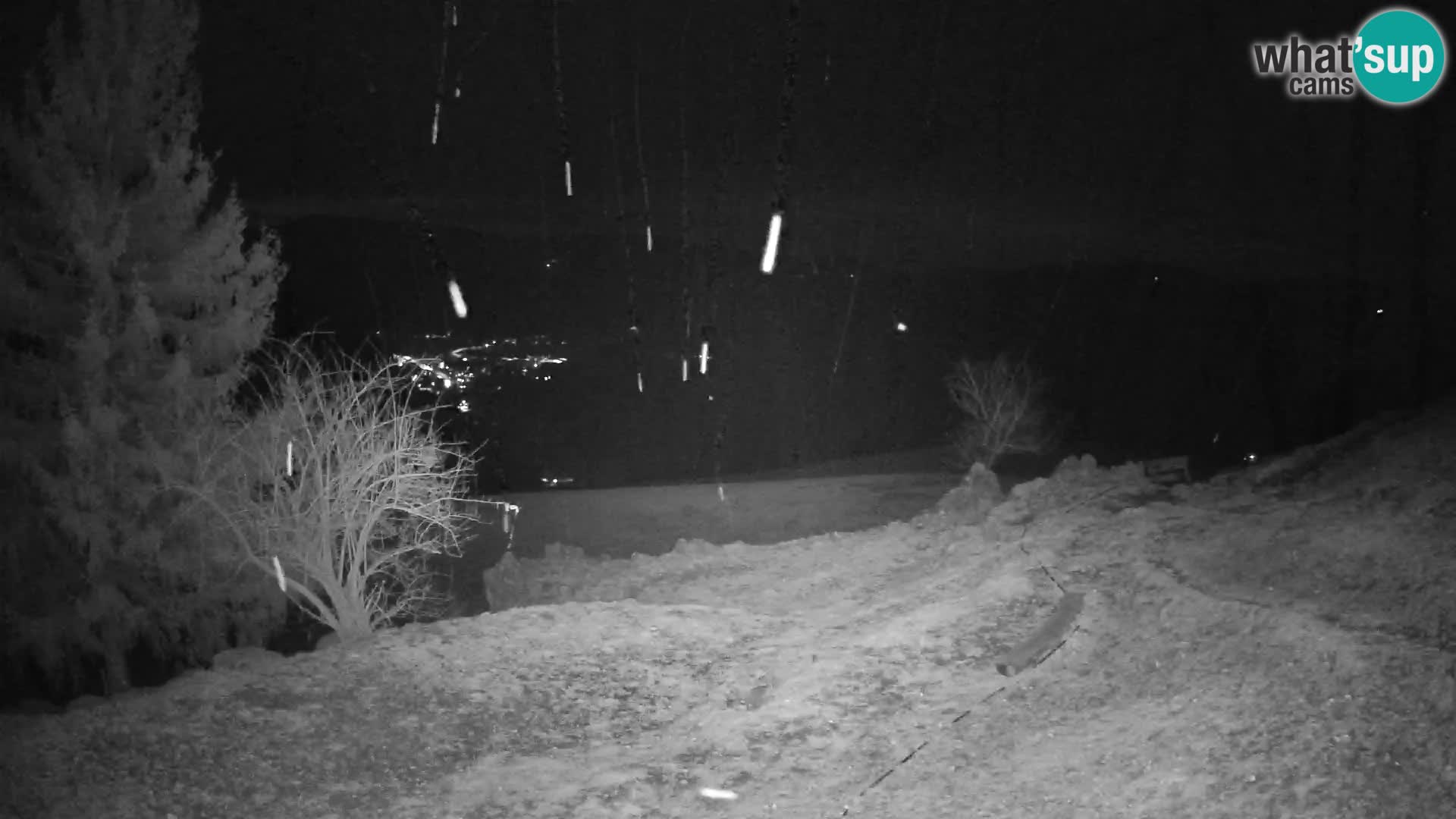 Slajka livecam | Gorenja Vas | Slovénie