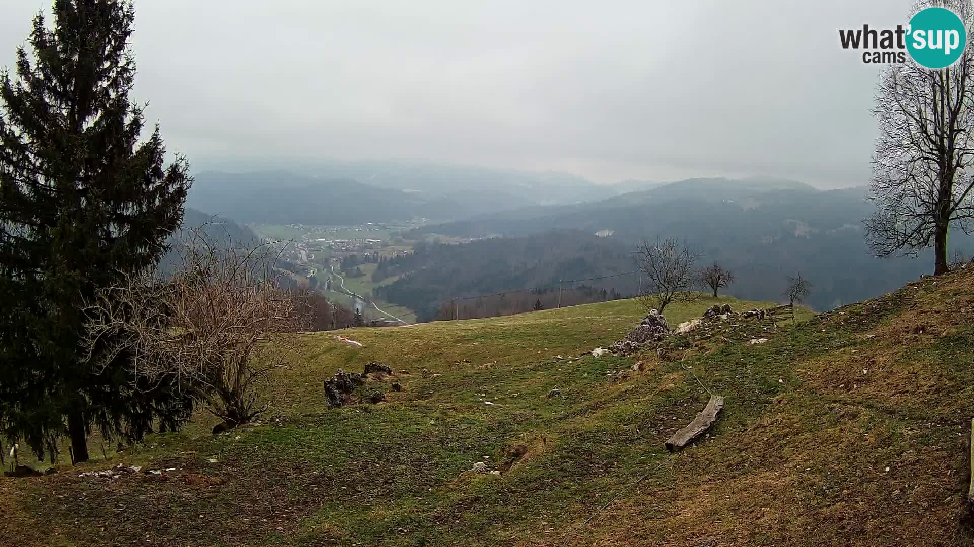 Slajka webam | Gorenja vas | Slovenia