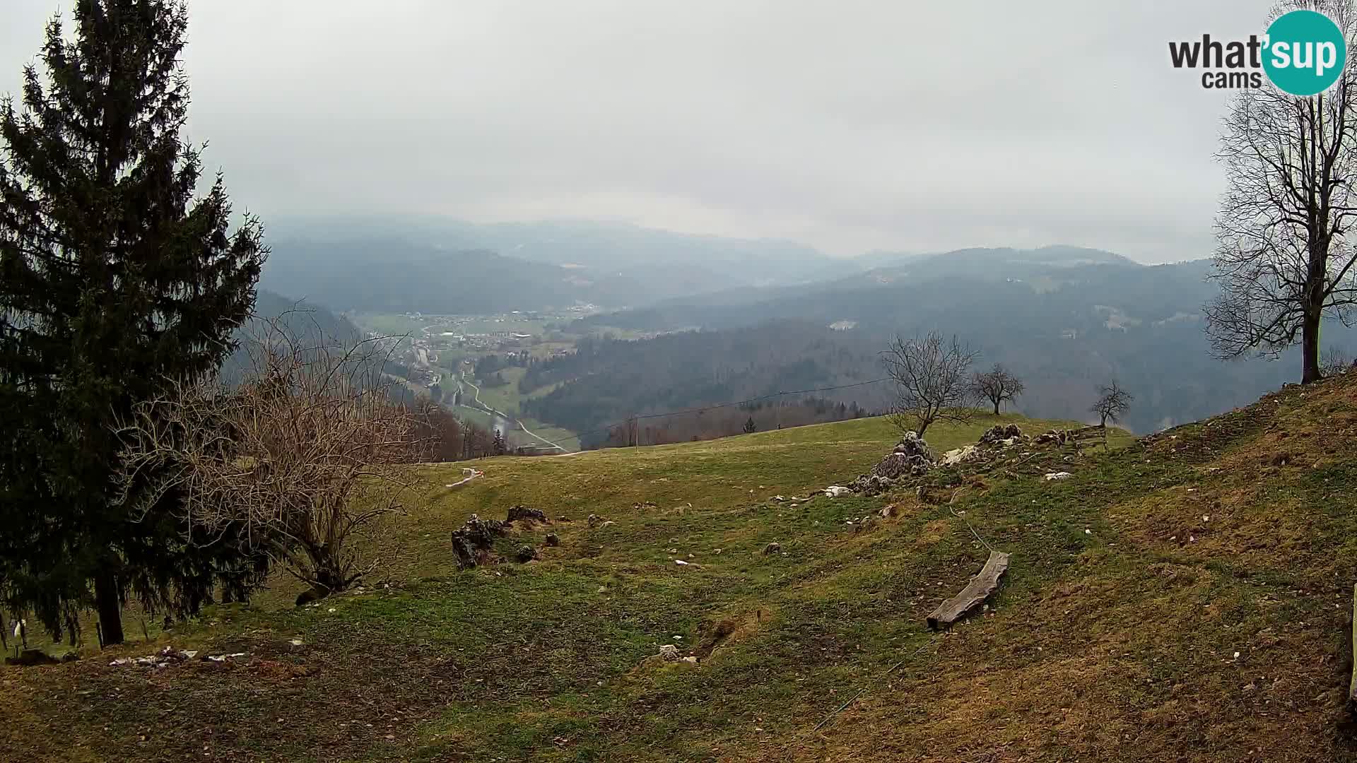 Slajka livecam | Gorenja Vas | Slovénie