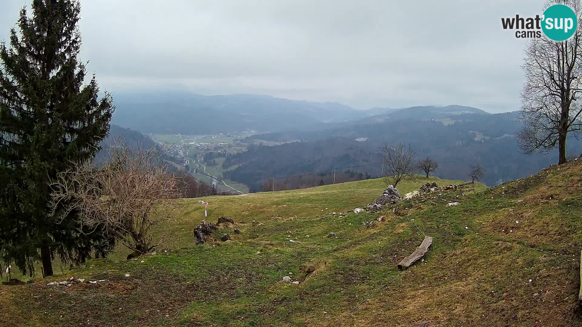 Slajka camera en vivo | Gorenja Vas | Eslovenia