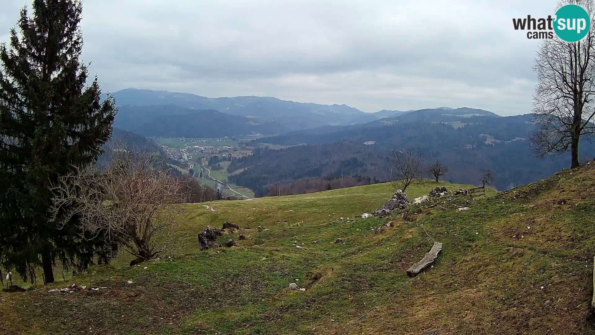 Slajka camera en vivo | Gorenja Vas | Eslovenia