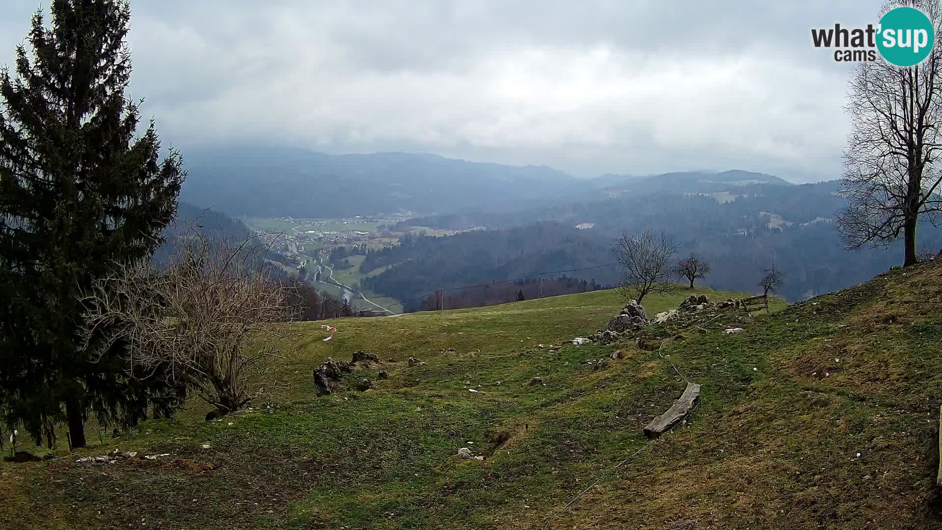 Slajka camera en vivo | Gorenja Vas | Eslovenia