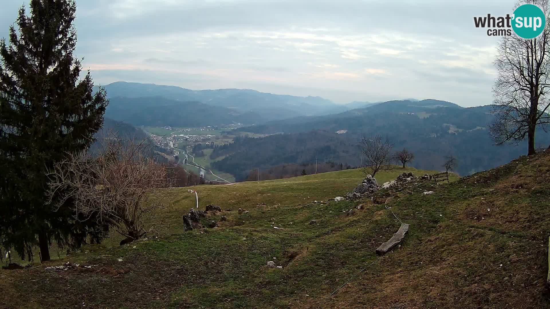 Slajka livecam | Gorenja Vas | Slovénie