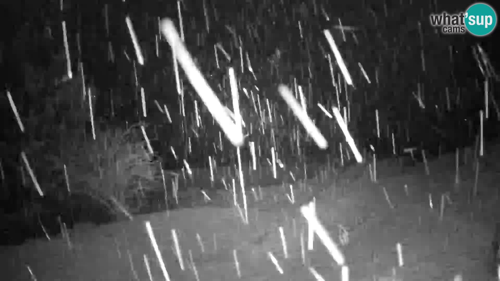 Slajka webcam | Gorenja Vas | Slowenien