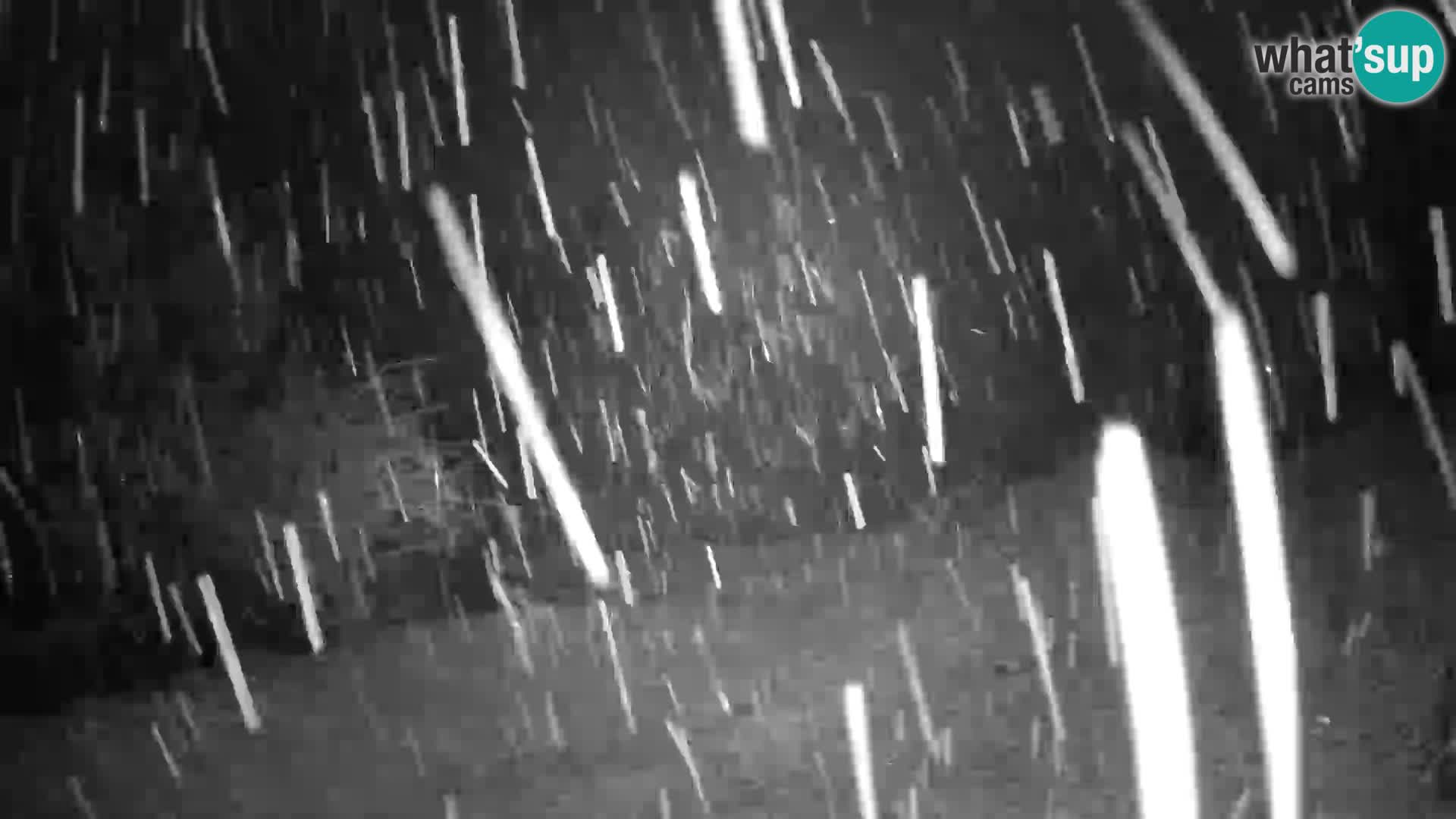 Slajka webam | Gorenja vas | Slovenia