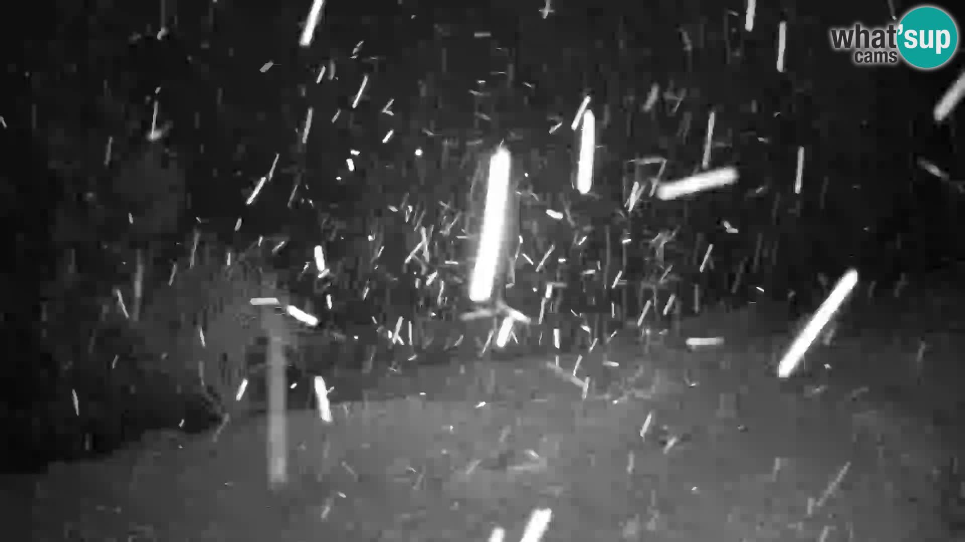 Slajka livecam | Gorenja Vas | Slovénie