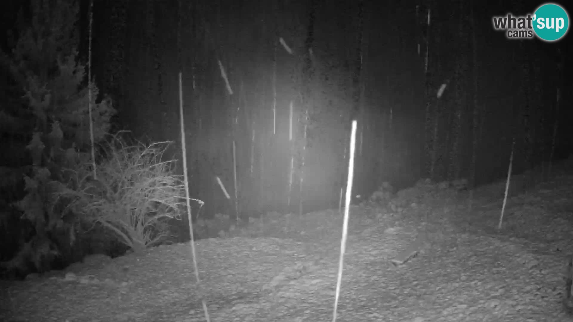 Slajka webcam | Gorenja Vas | Slowenien