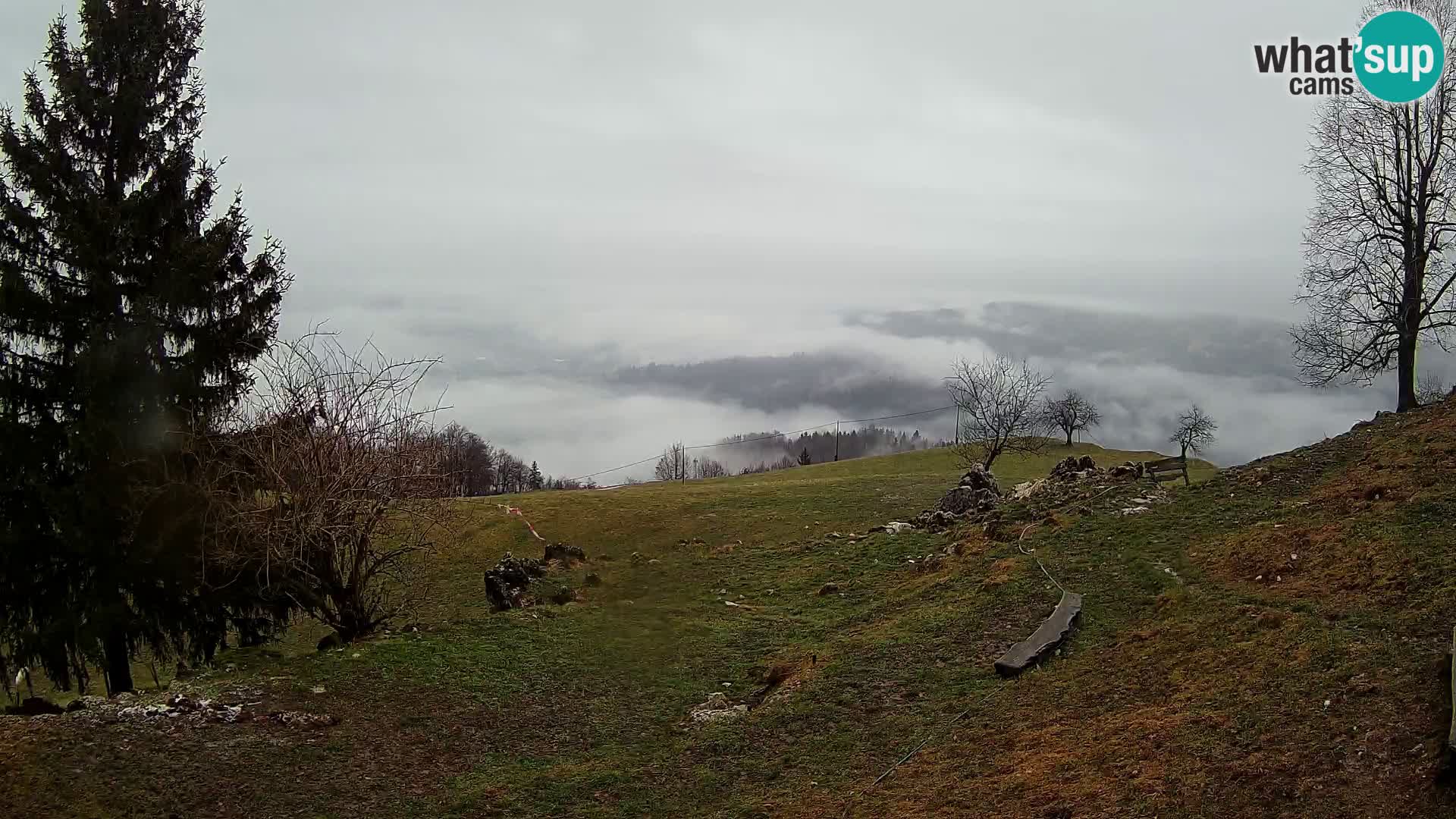 Slajka camera en vivo | Gorenja Vas | Eslovenia