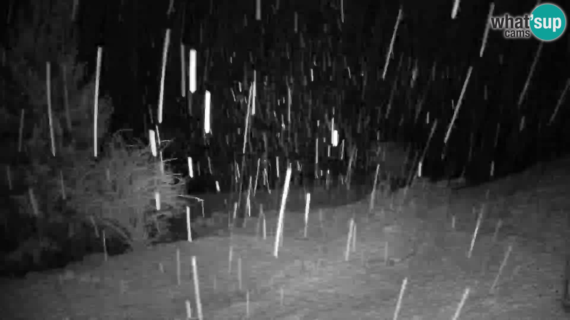 Webcam Slajka | Gorenja vas | Slovenia