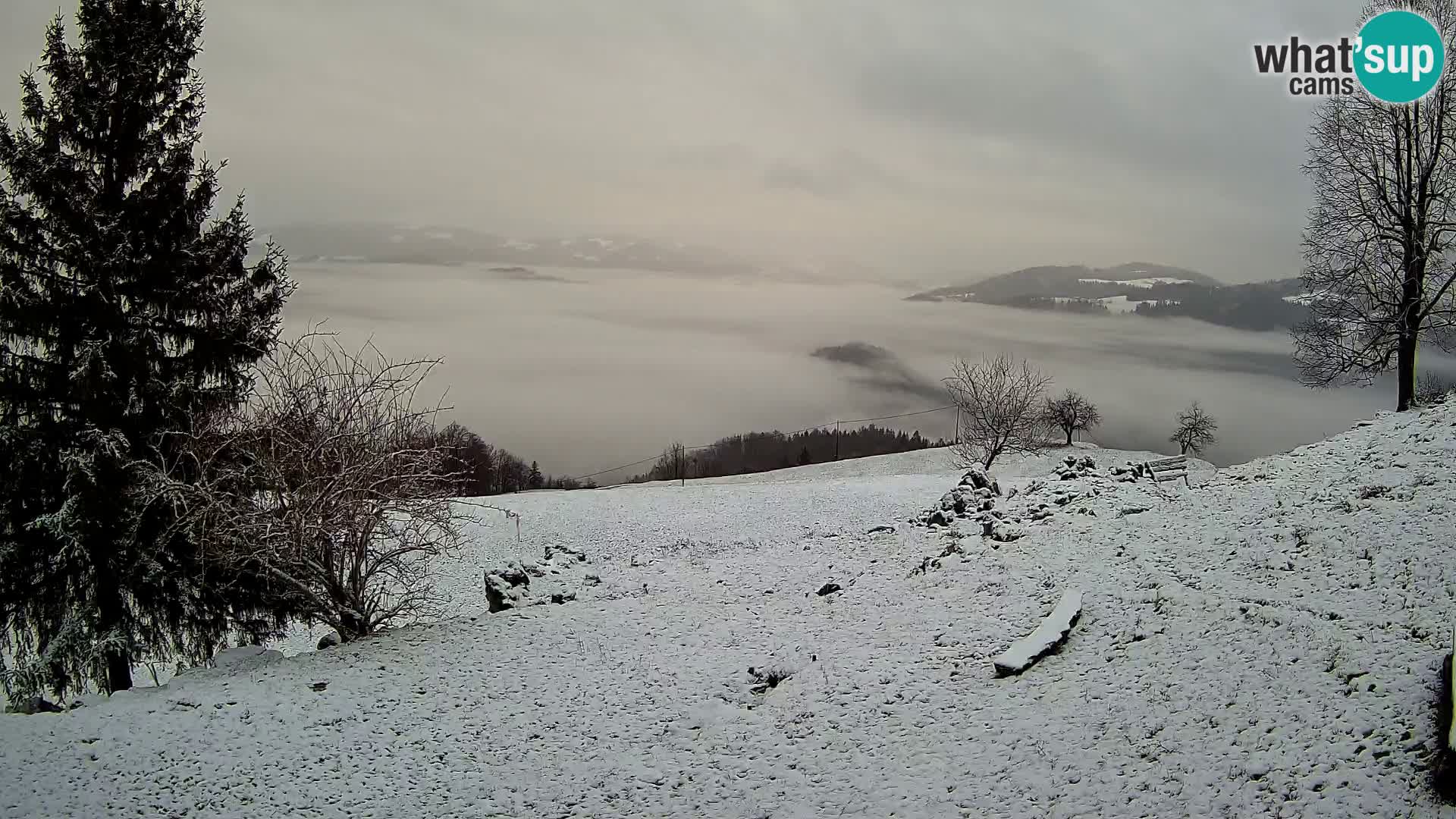 Slajka webam | Gorenja vas | Slovenia