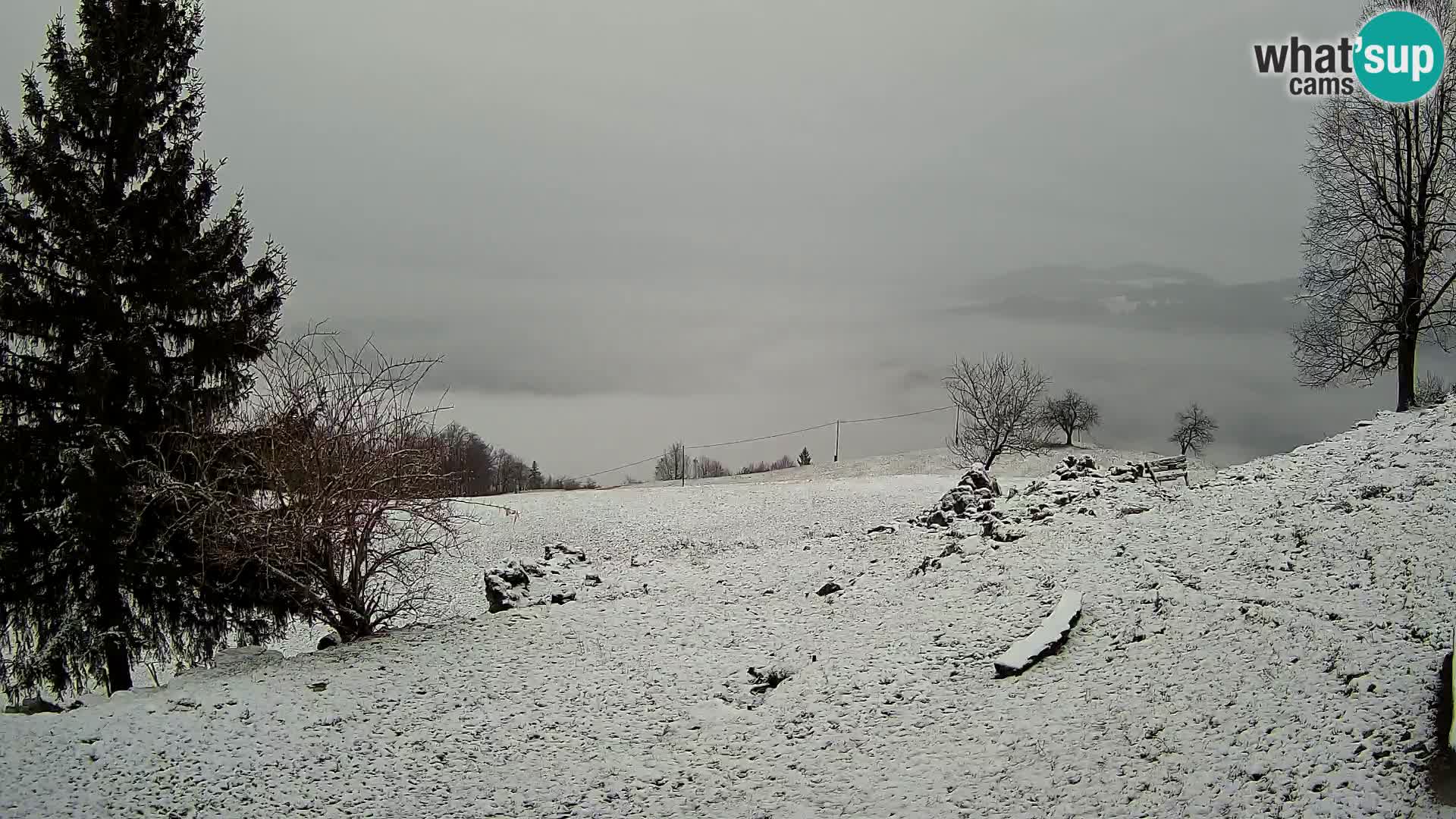 Slajka webam | Gorenja vas | Slovenia