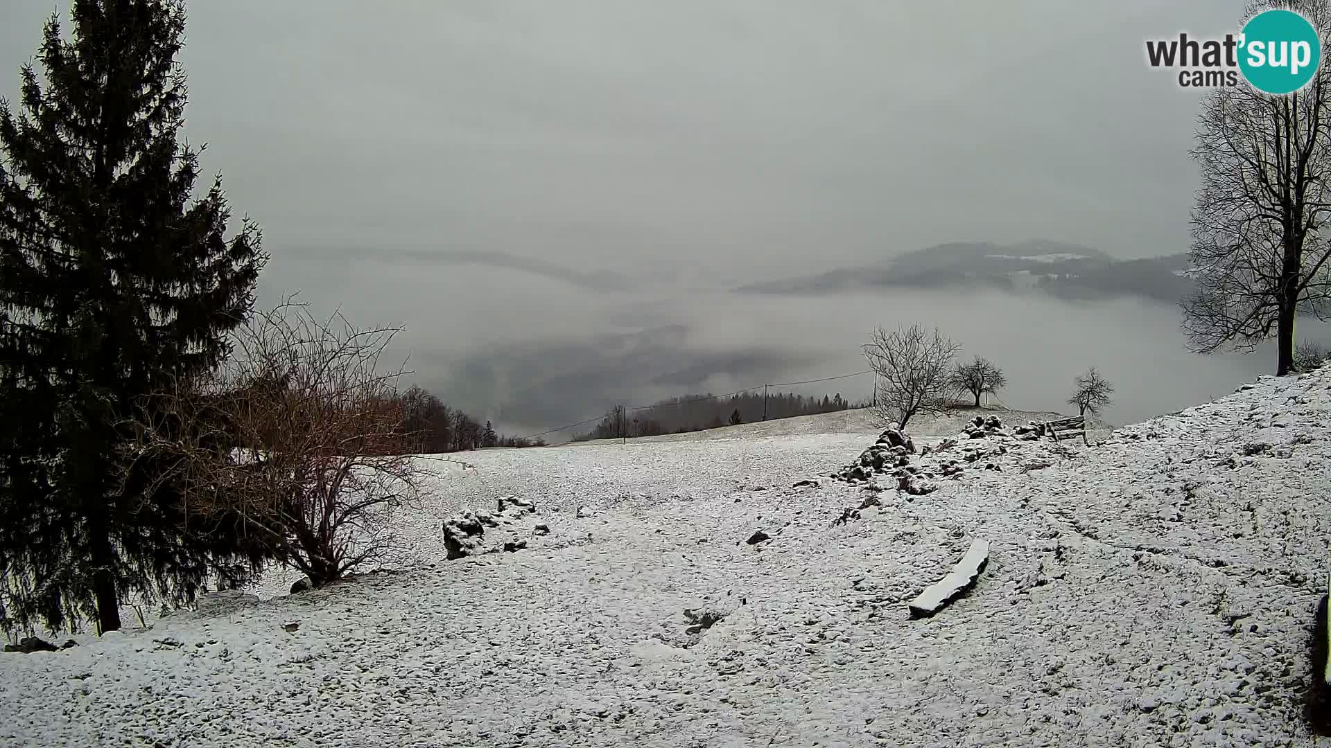 Slajka web kamera | Gorenja Vas | Slovenija