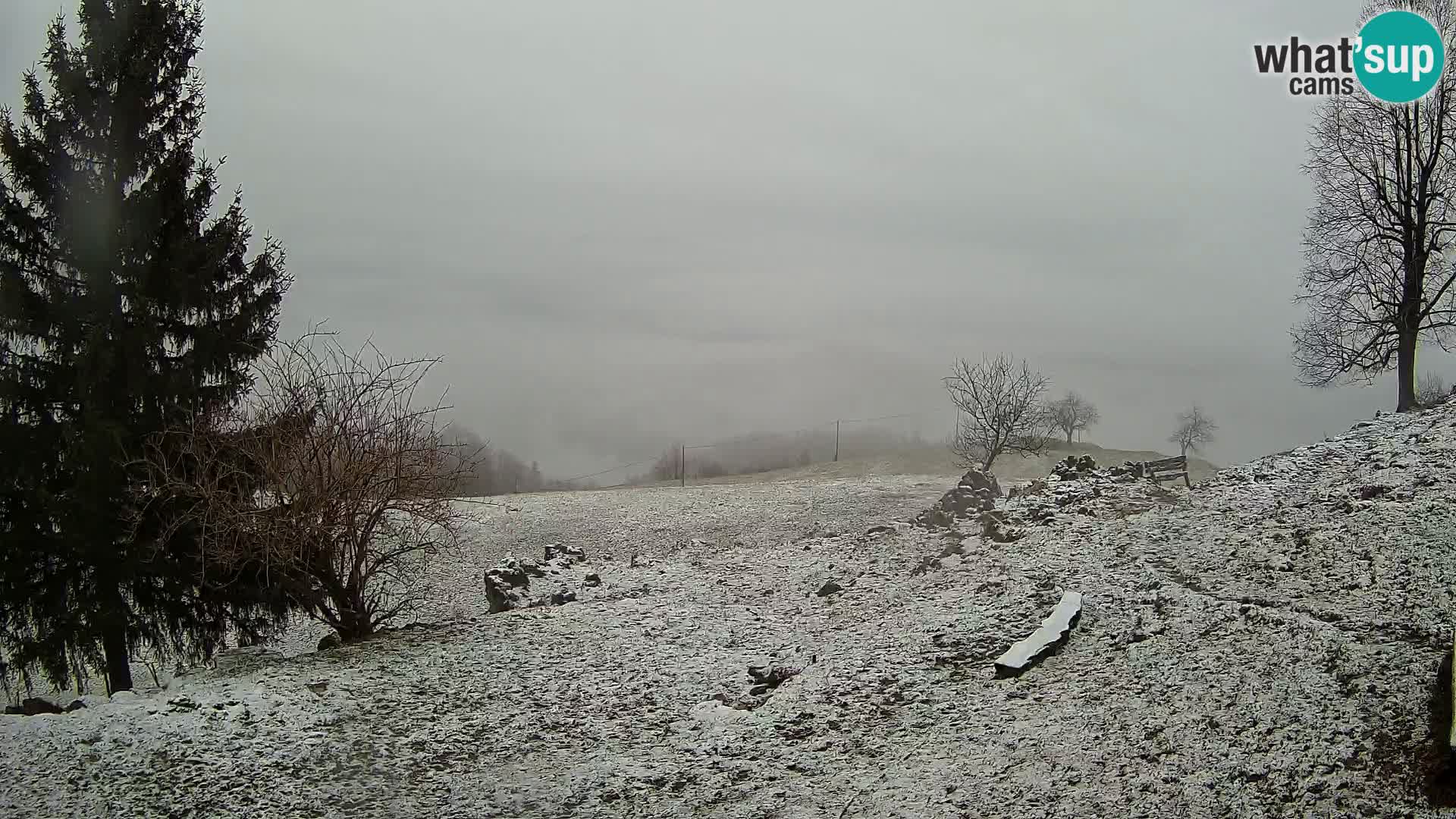 Slajka camera en vivo | Gorenja Vas | Eslovenia