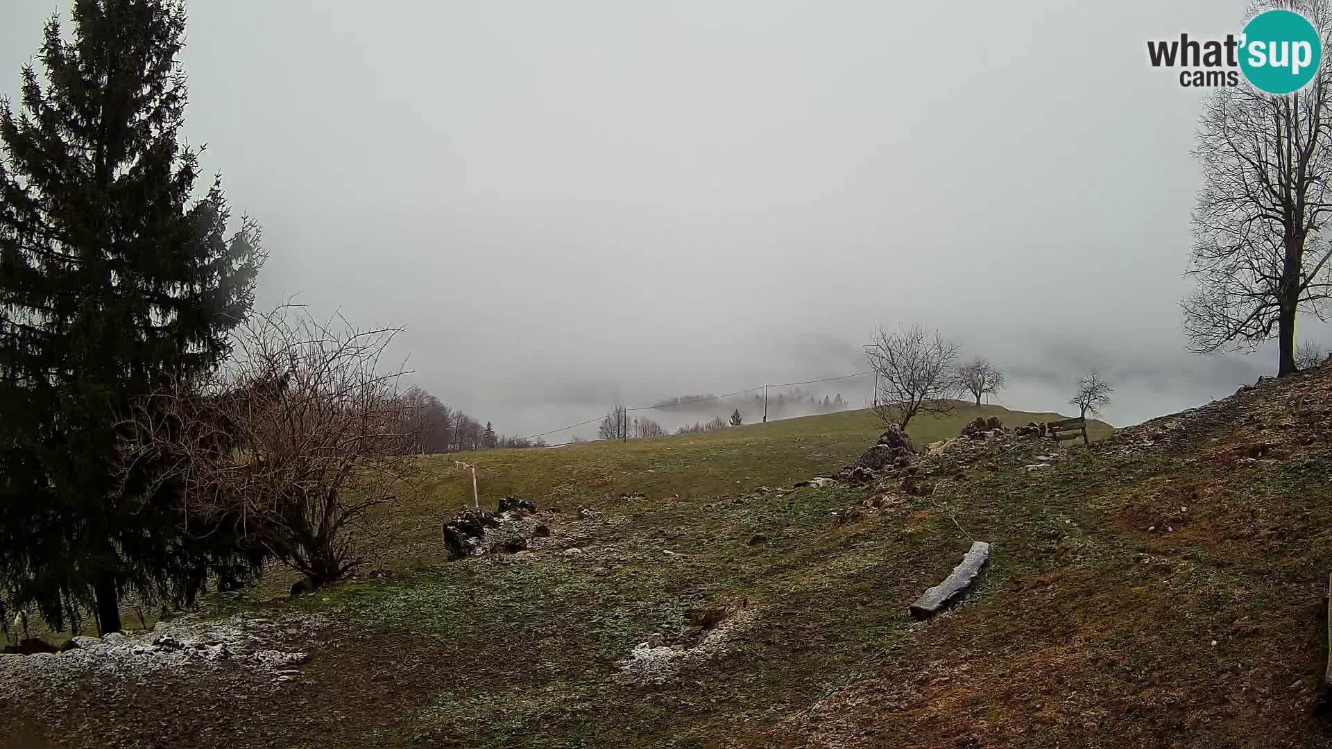 Slajka webam | Gorenja vas | Slovenia