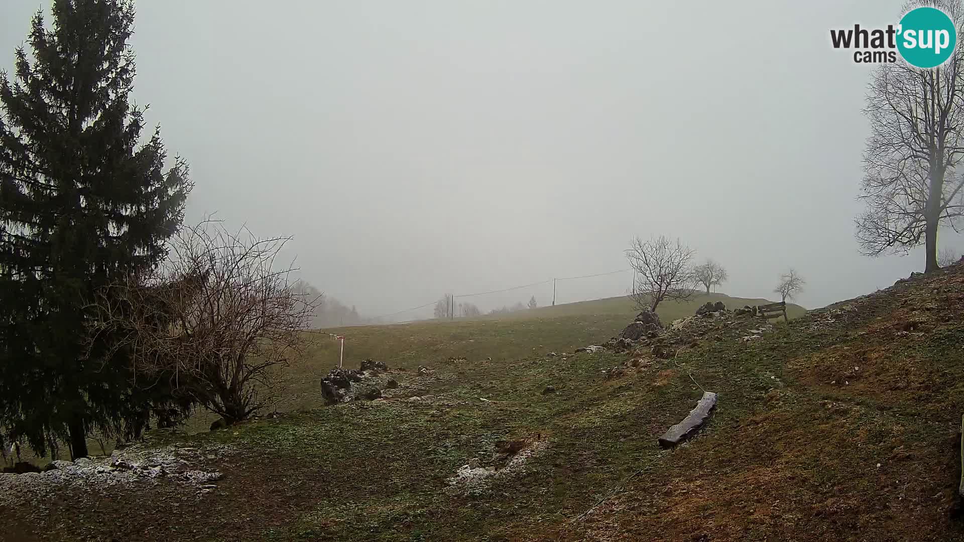 Slajka webam | Gorenja vas | Slovenia