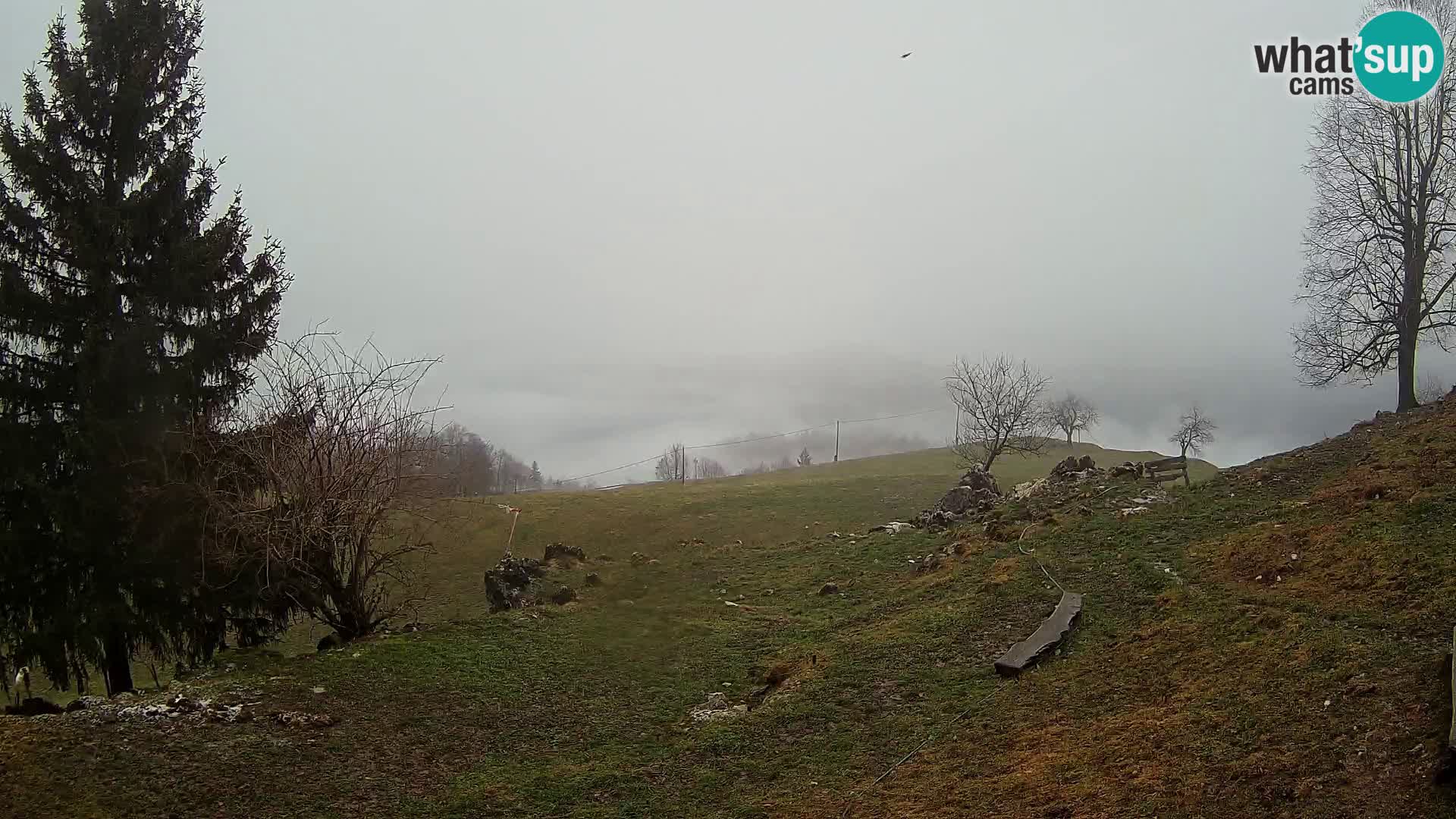 Slajka webam | Gorenja vas | Slovenia