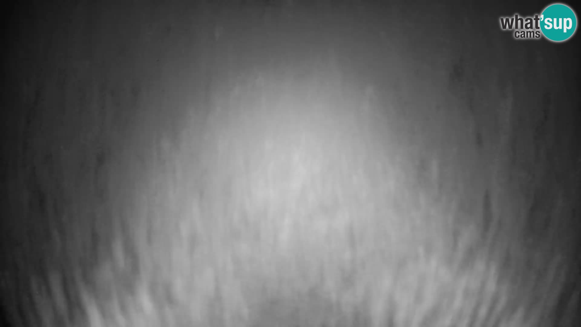 Slajka livecam | Gorenja Vas | Slovénie