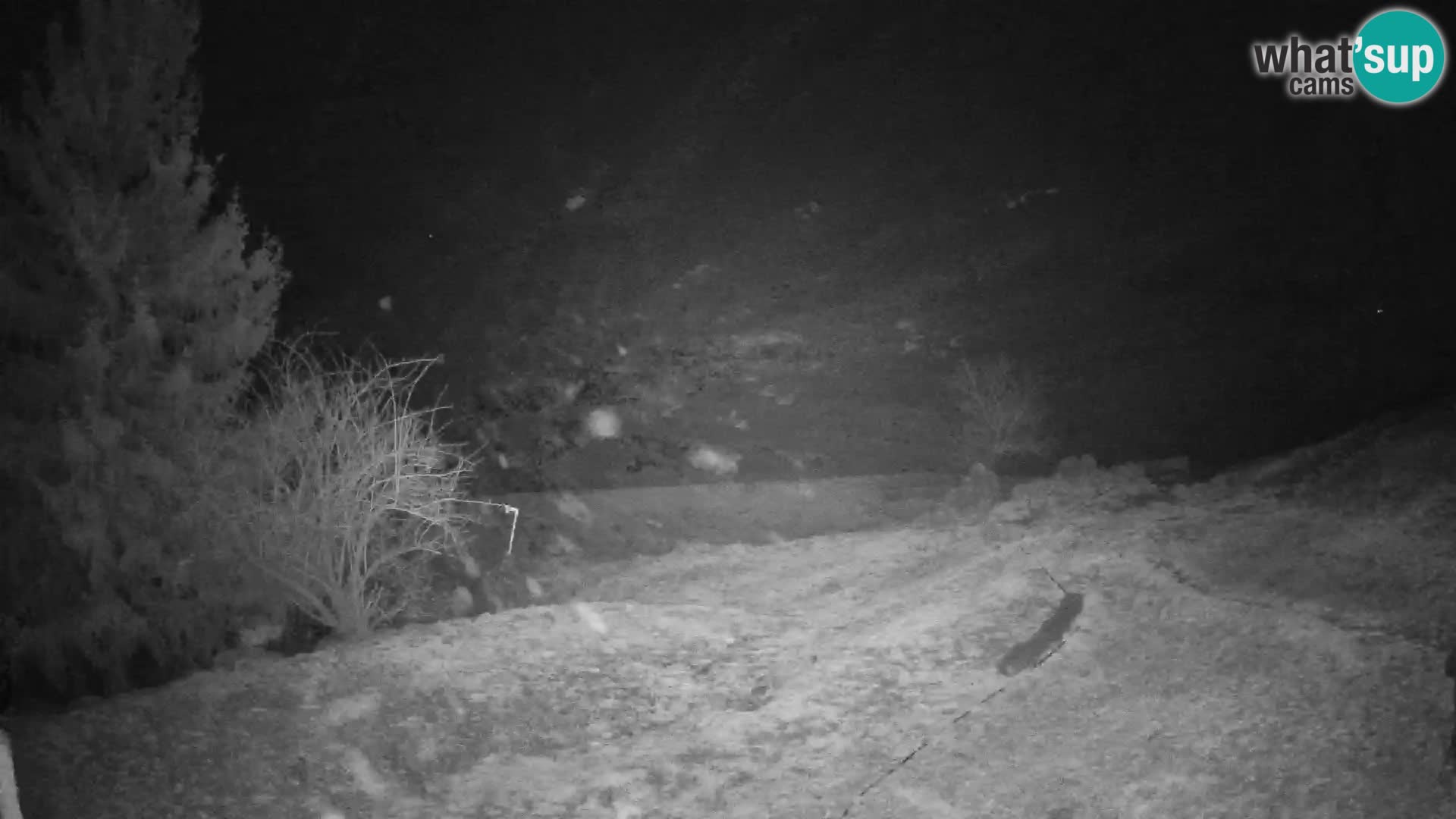 Spletna kamera Slajka | Gorenja vas