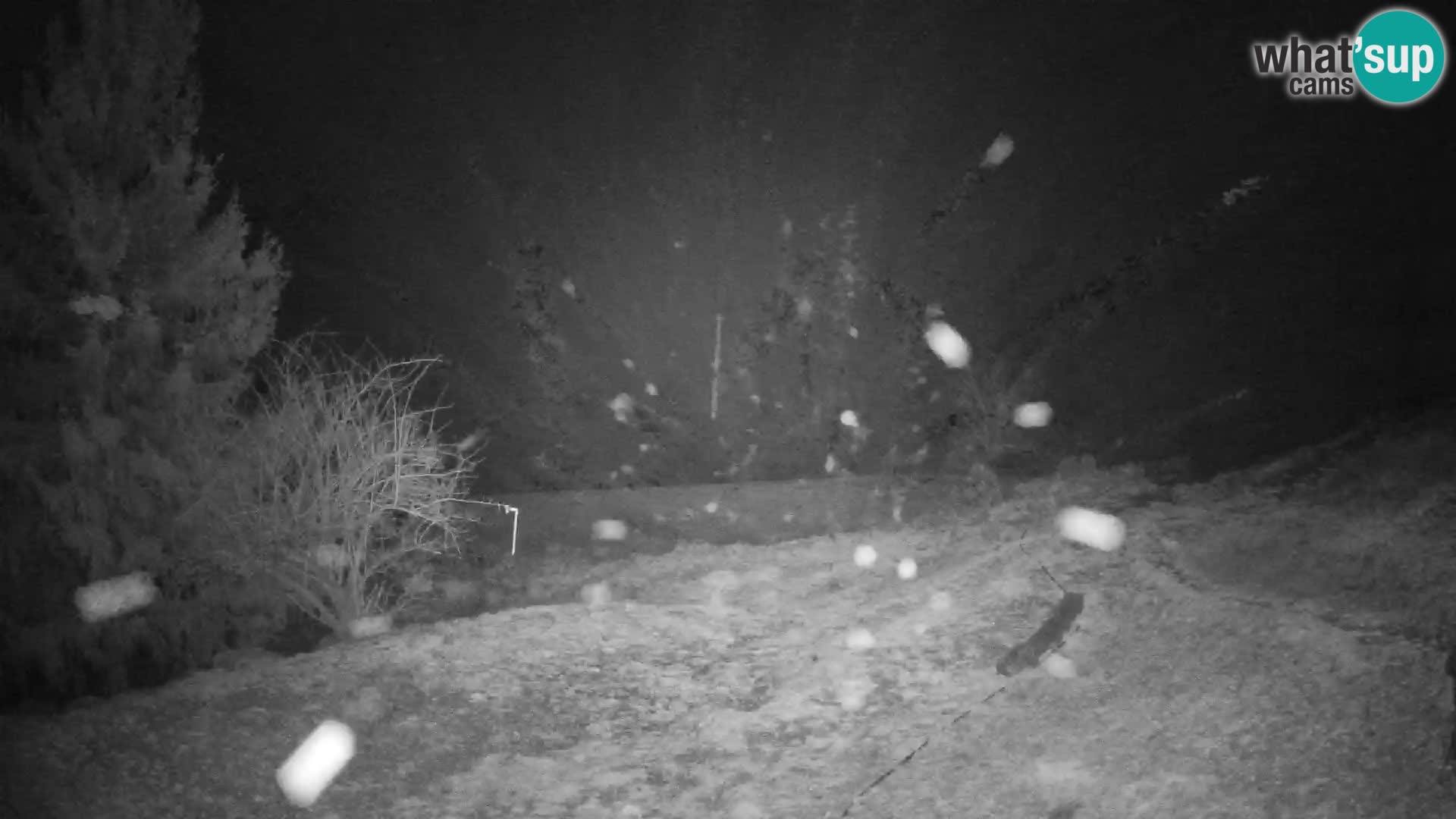 Spletna kamera Slajka | Gorenja vas