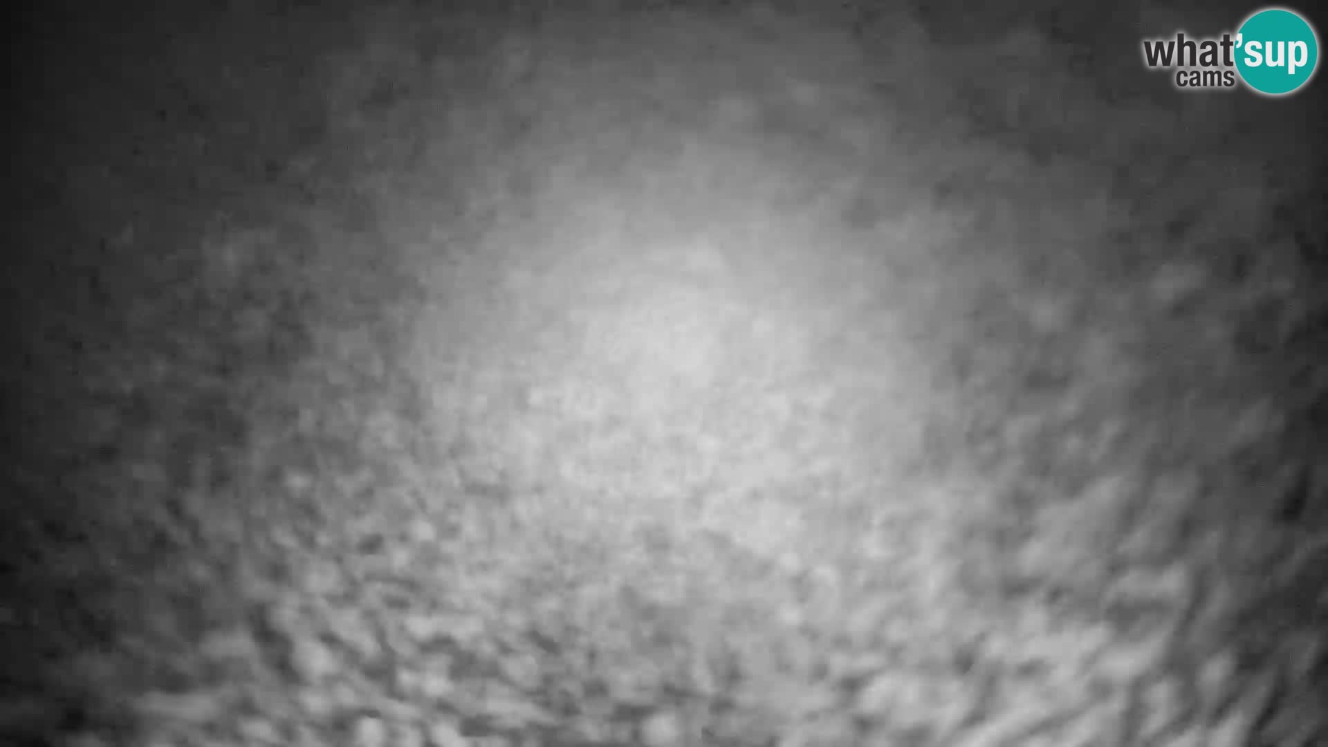 Slajka webam | Gorenja vas | Slovenia