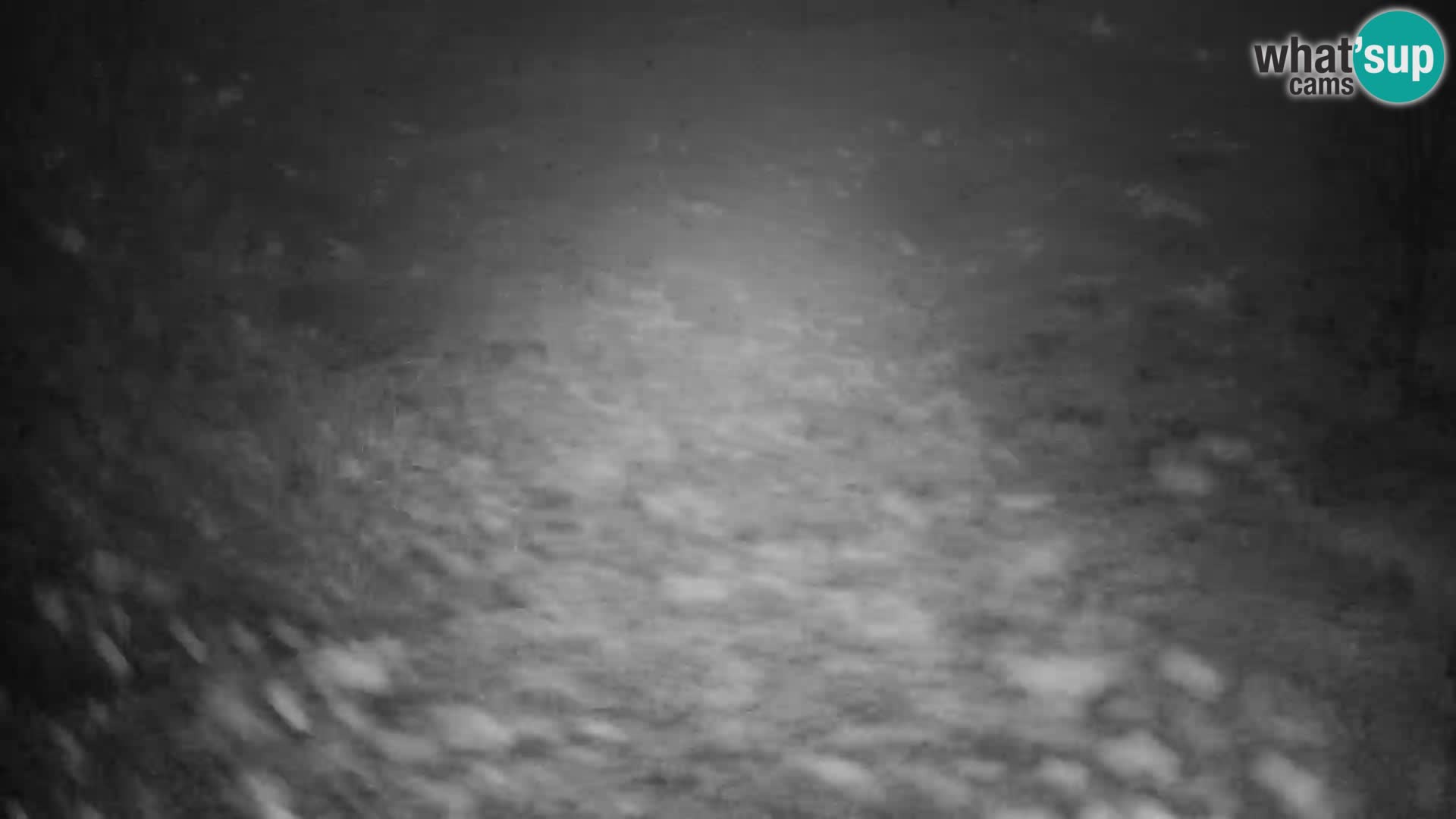 Slajka webcam | Gorenja Vas | Slowenien