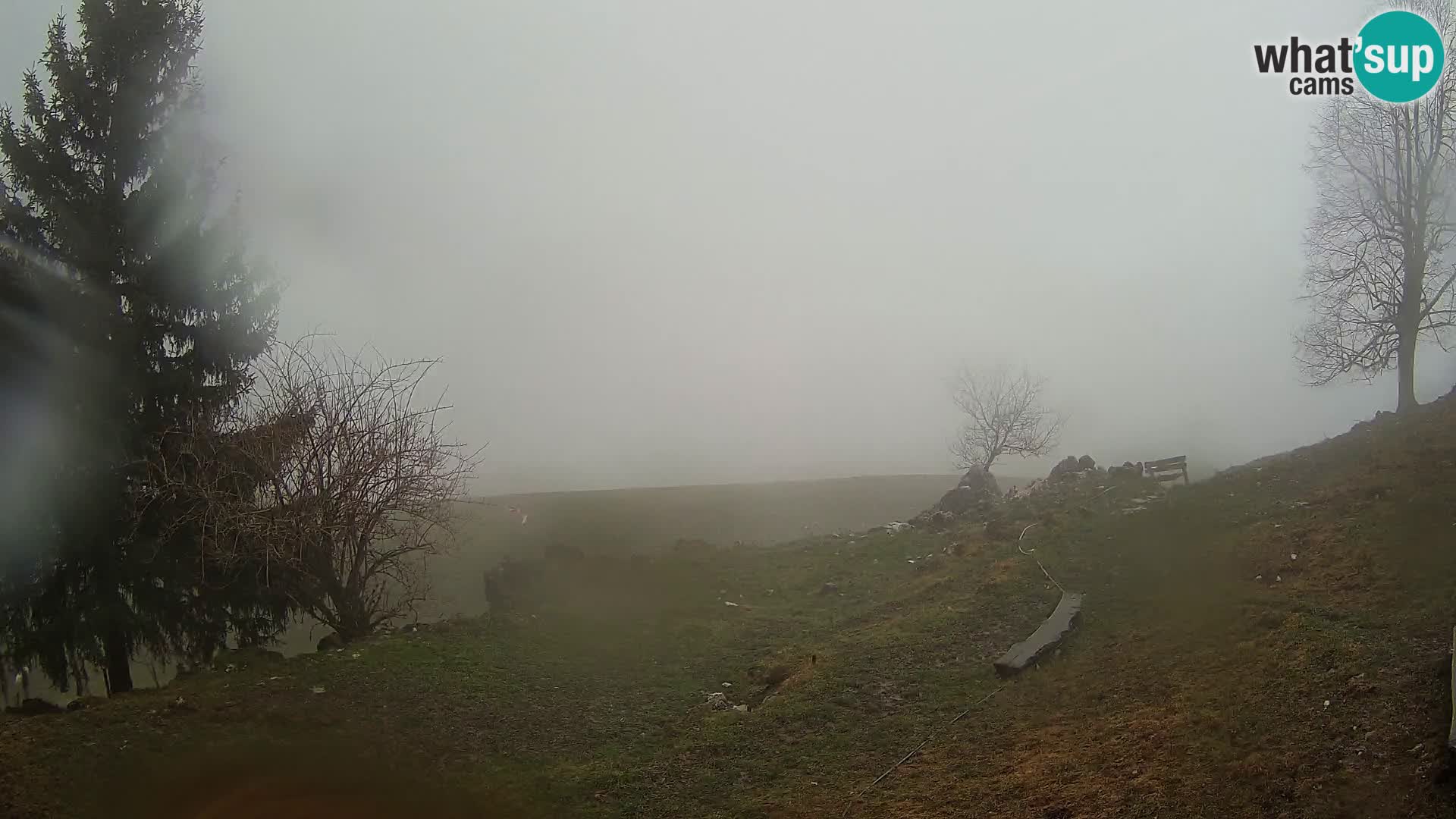 Slajka livecam | Gorenja Vas | Slovénie