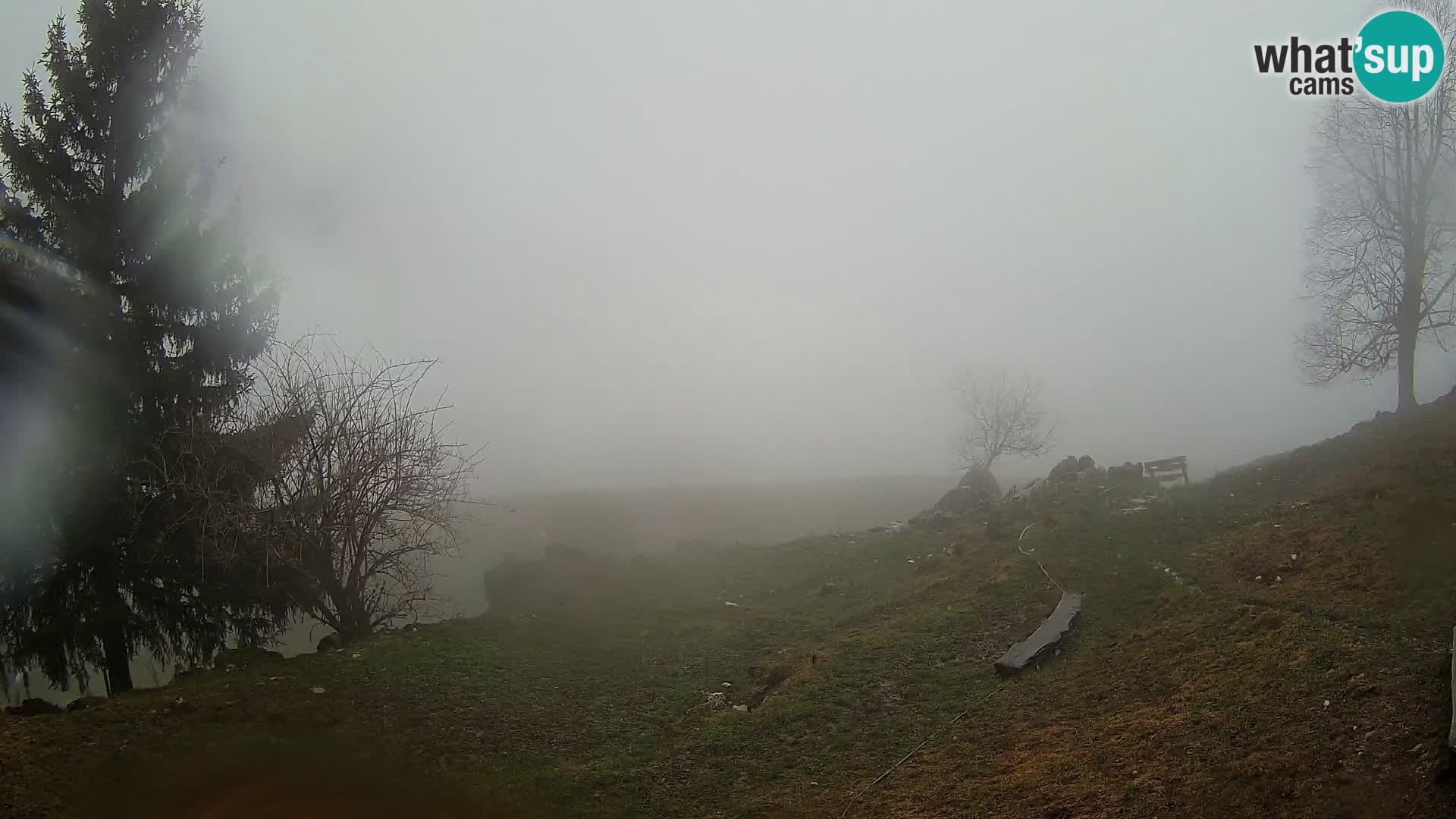 Slajka webcam | Gorenja Vas | Slowenien