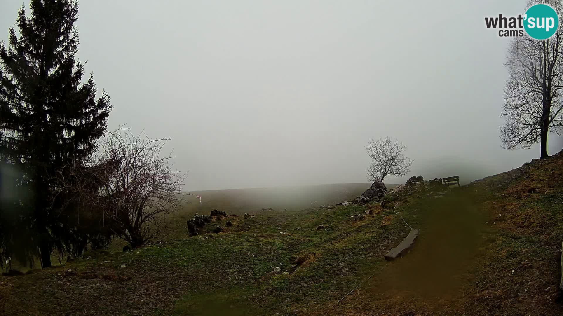 Slajka webcam | Gorenja Vas | Slowenien