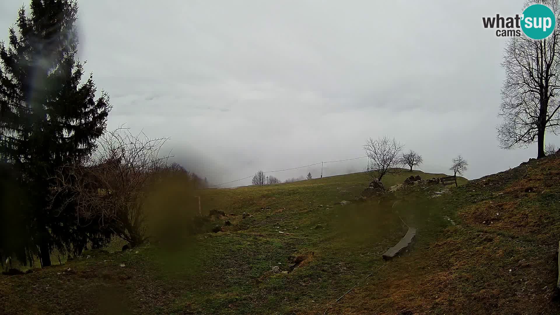 Slajka webcam | Gorenja Vas | Slowenien