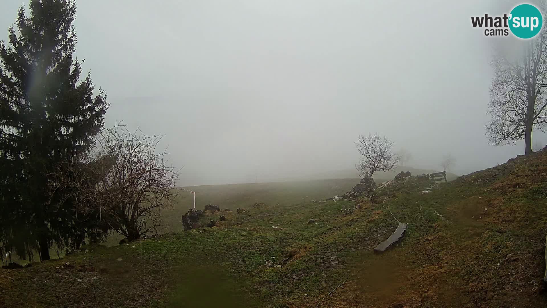 Slajka camera en vivo | Gorenja Vas | Eslovenia