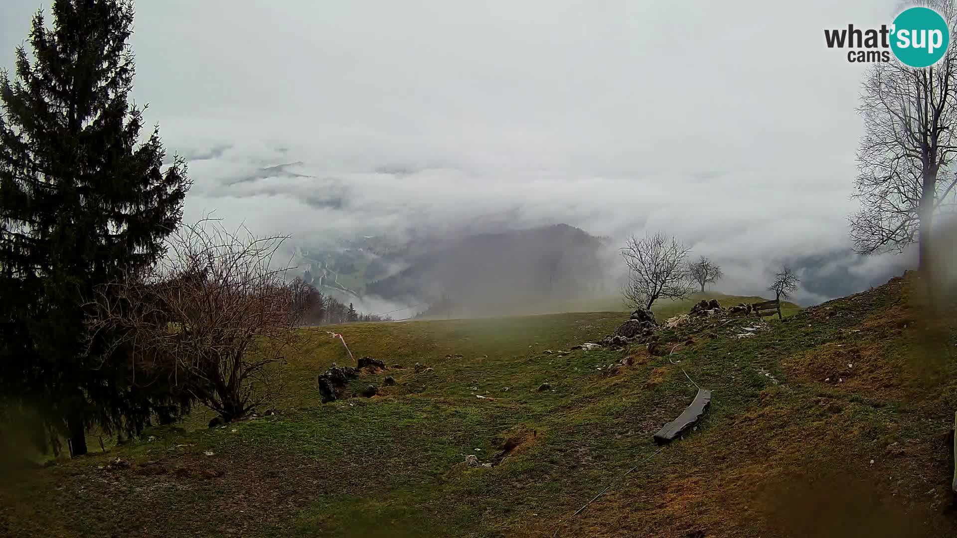 Slajka camera en vivo | Gorenja Vas | Eslovenia