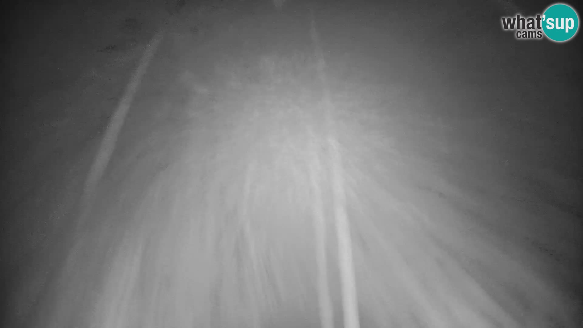 Slajka webcam | Gorenja Vas | Slowenien