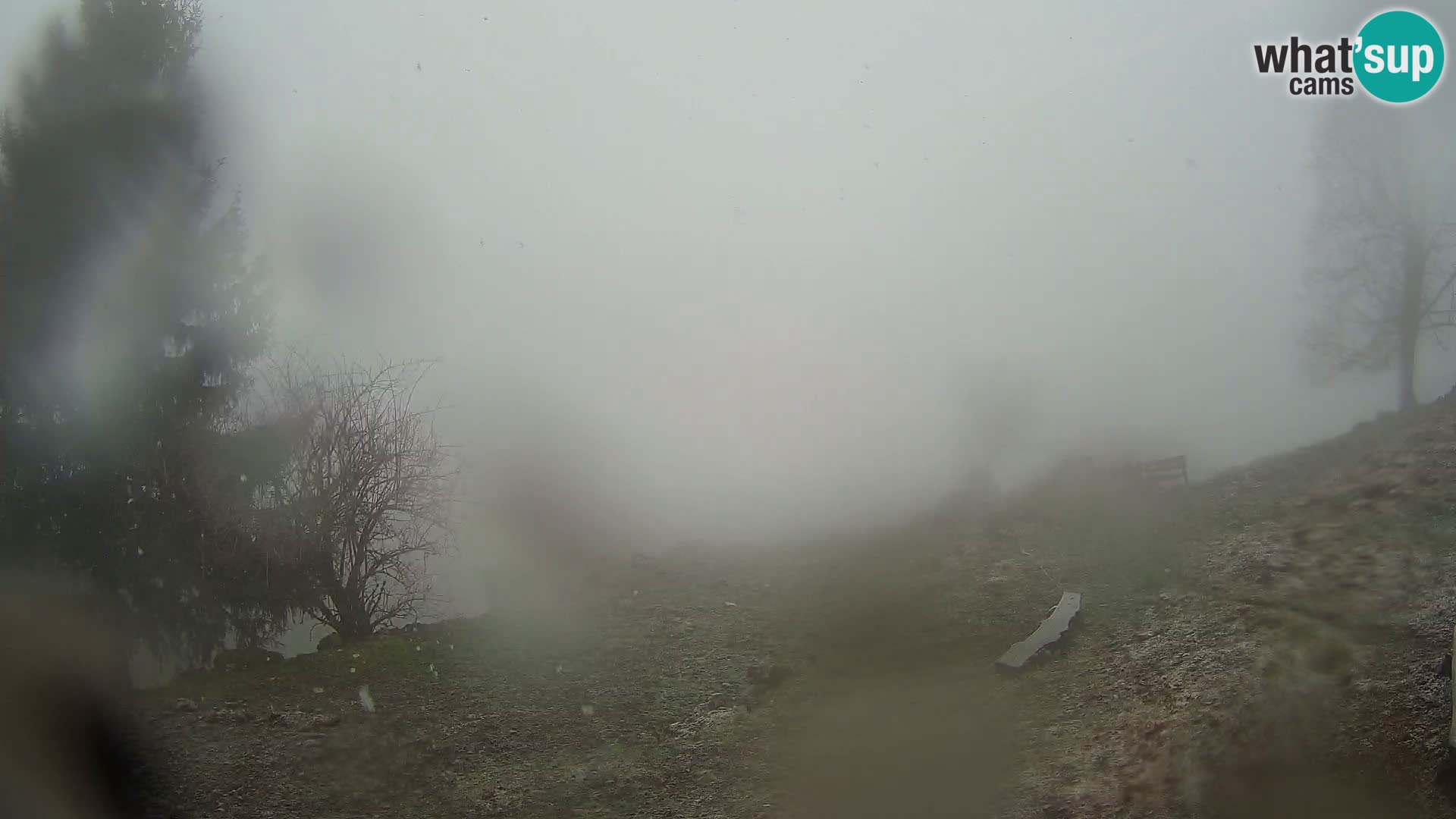 Slajka livecam | Gorenja Vas | Slovénie