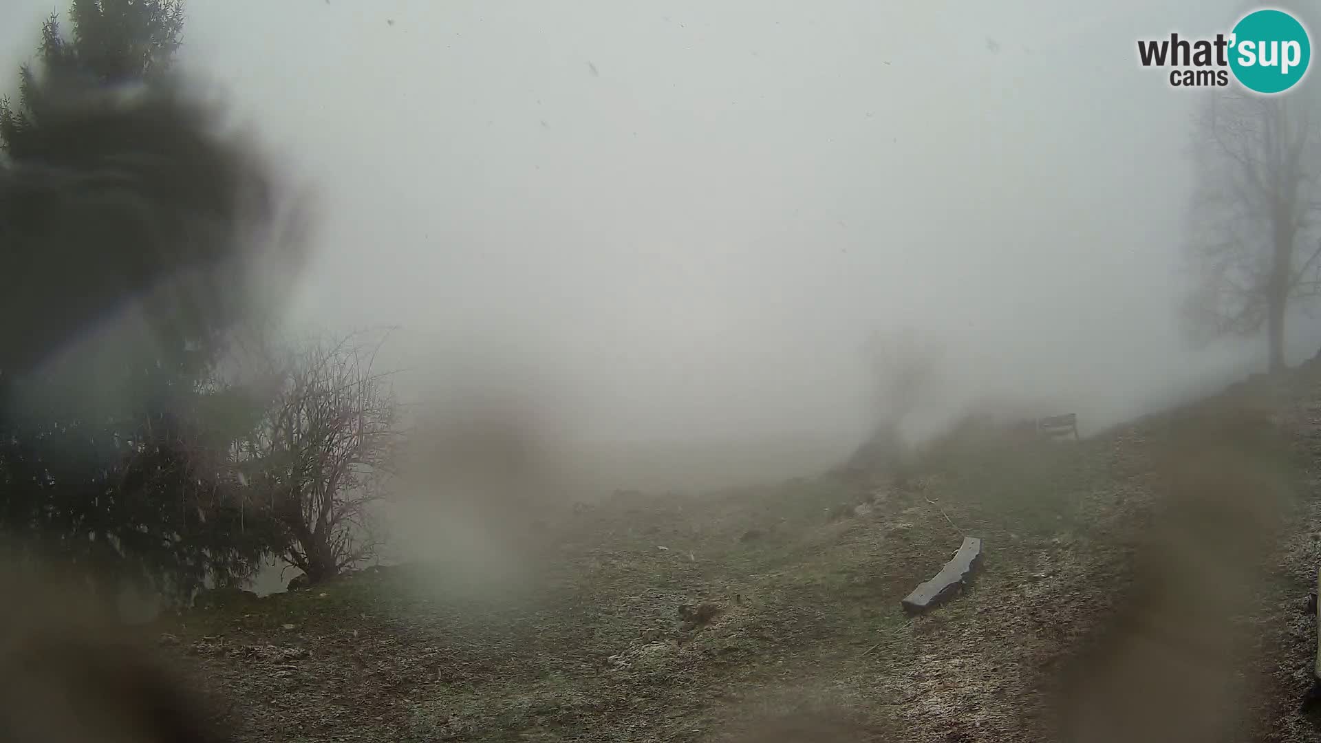 Slajka camera en vivo | Gorenja Vas | Eslovenia