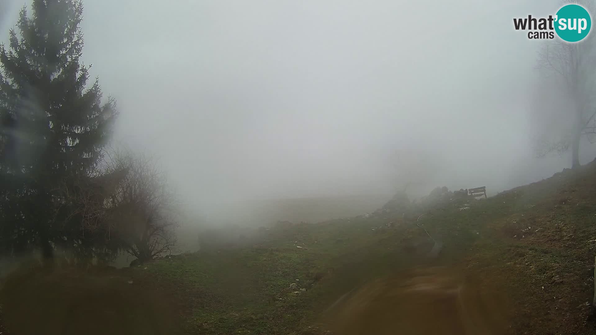 Slajka camera en vivo | Gorenja Vas | Eslovenia