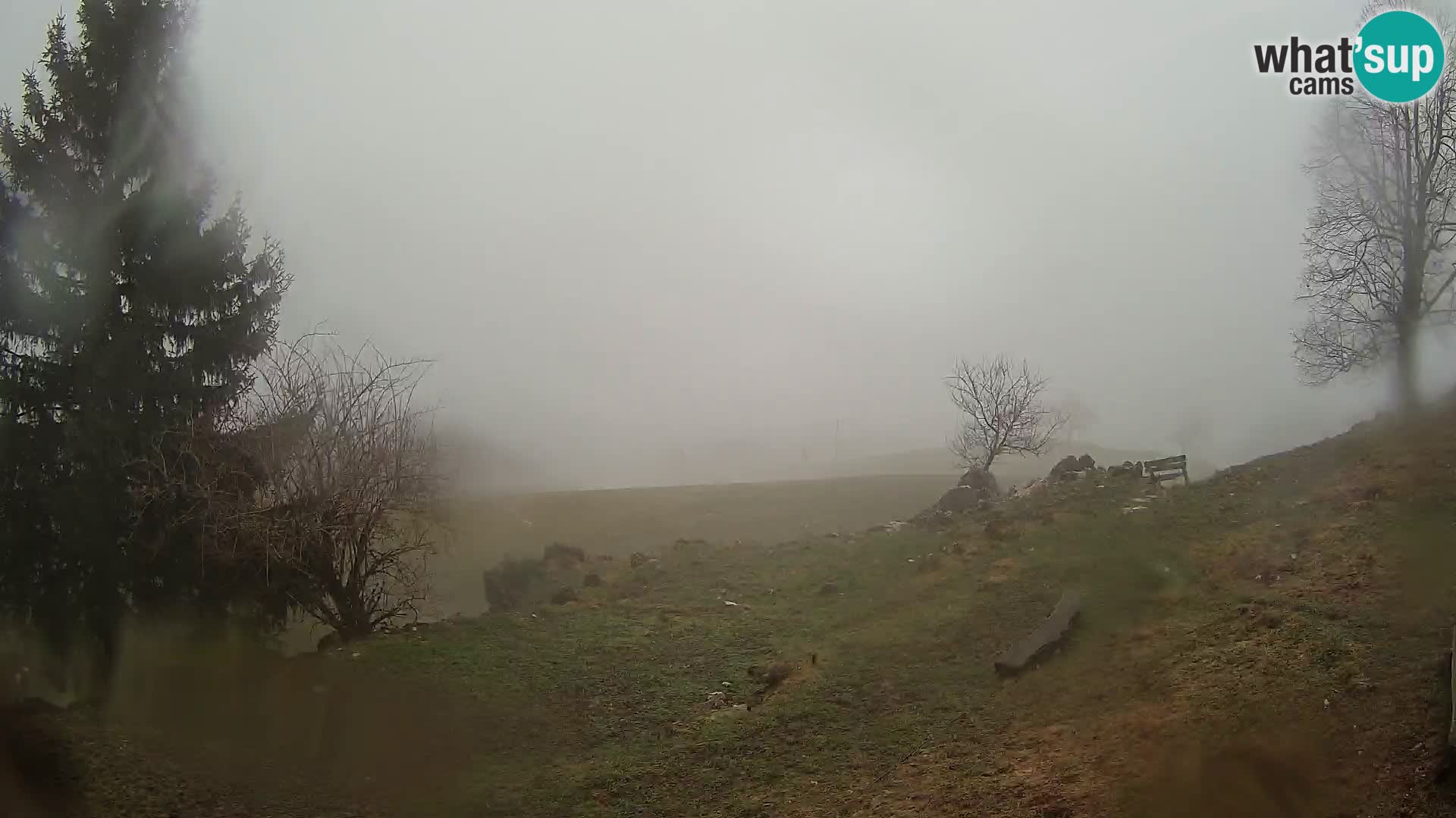 Slajka camera en vivo | Gorenja Vas | Eslovenia