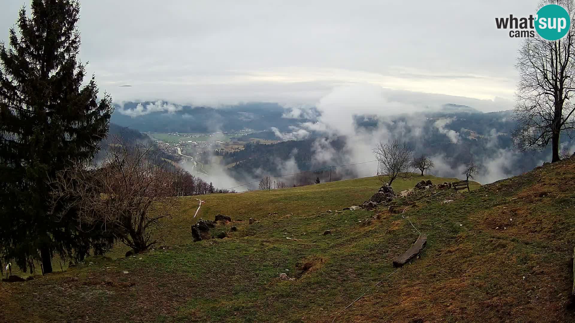 Slajka webam | Gorenja vas | Slovenia