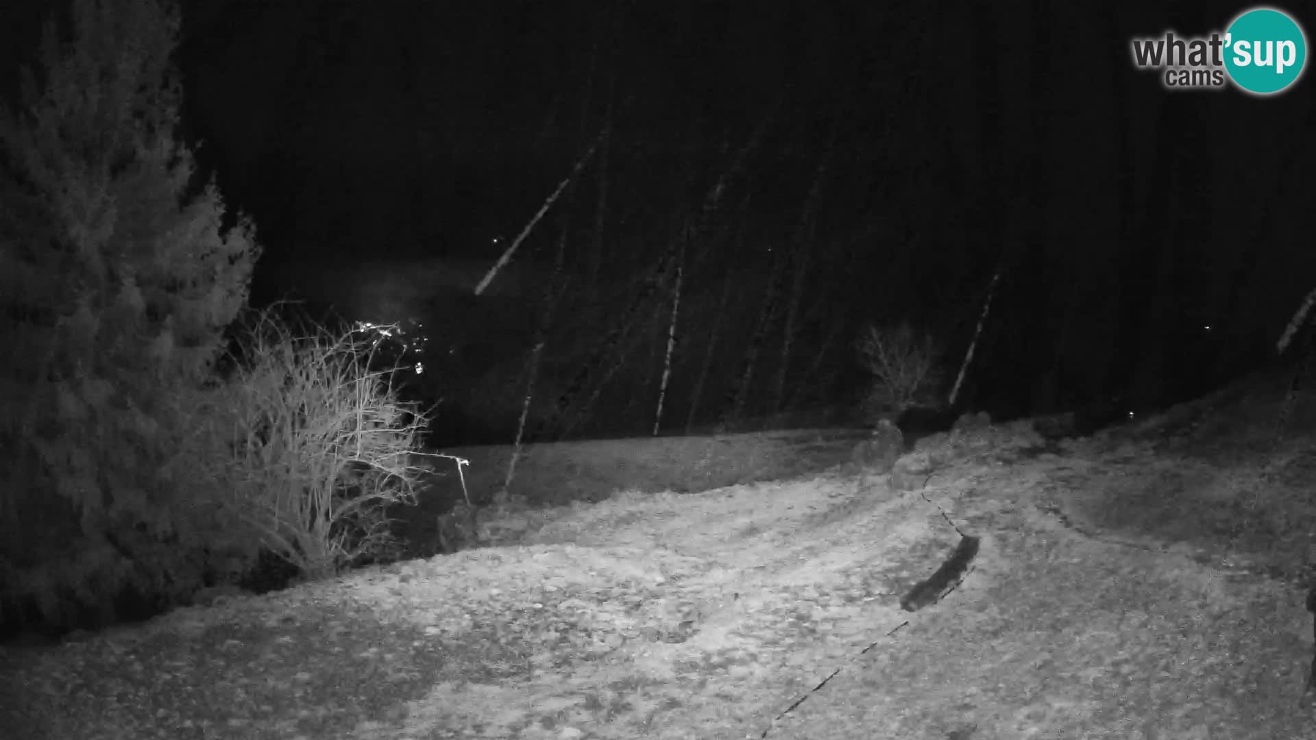 Slajka web kamera | Gorenja Vas | Slovenija