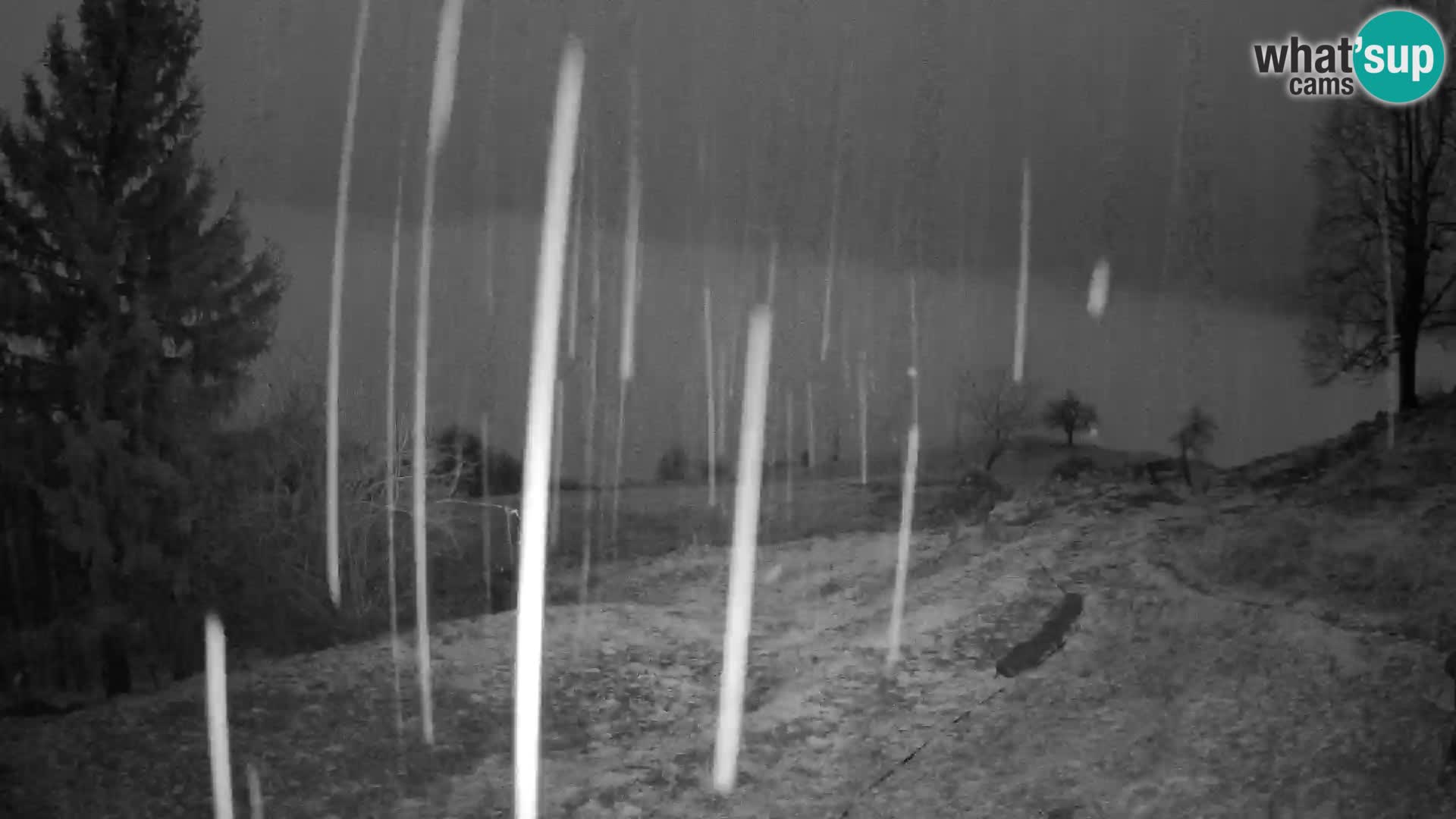 Slajka webam | Gorenja vas | Slovenia