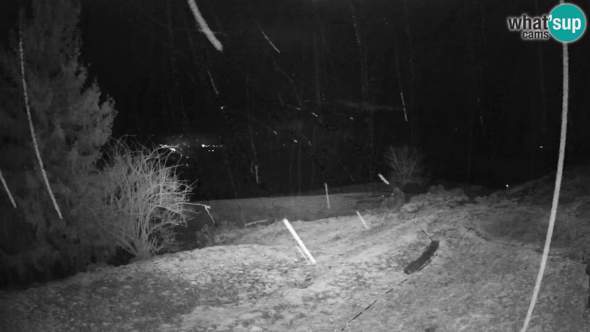 Slajka livecam | Gorenja Vas | Slovénie