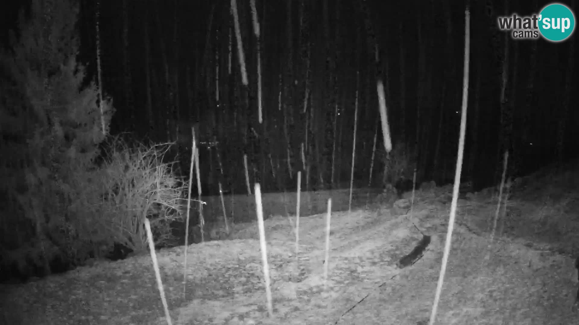 Slajka webam | Gorenja vas | Slovenia