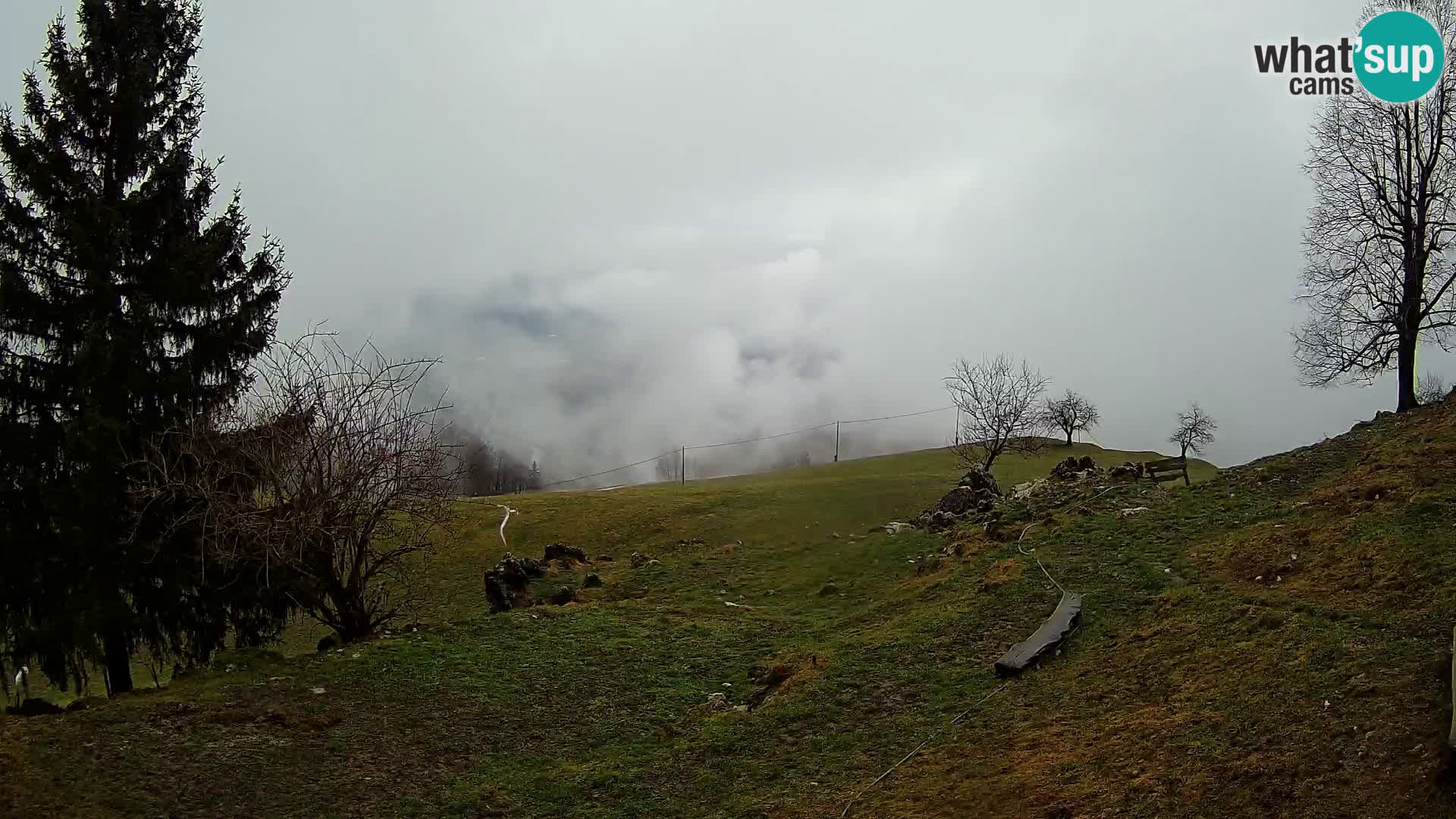 Slajka camera en vivo | Gorenja Vas | Eslovenia