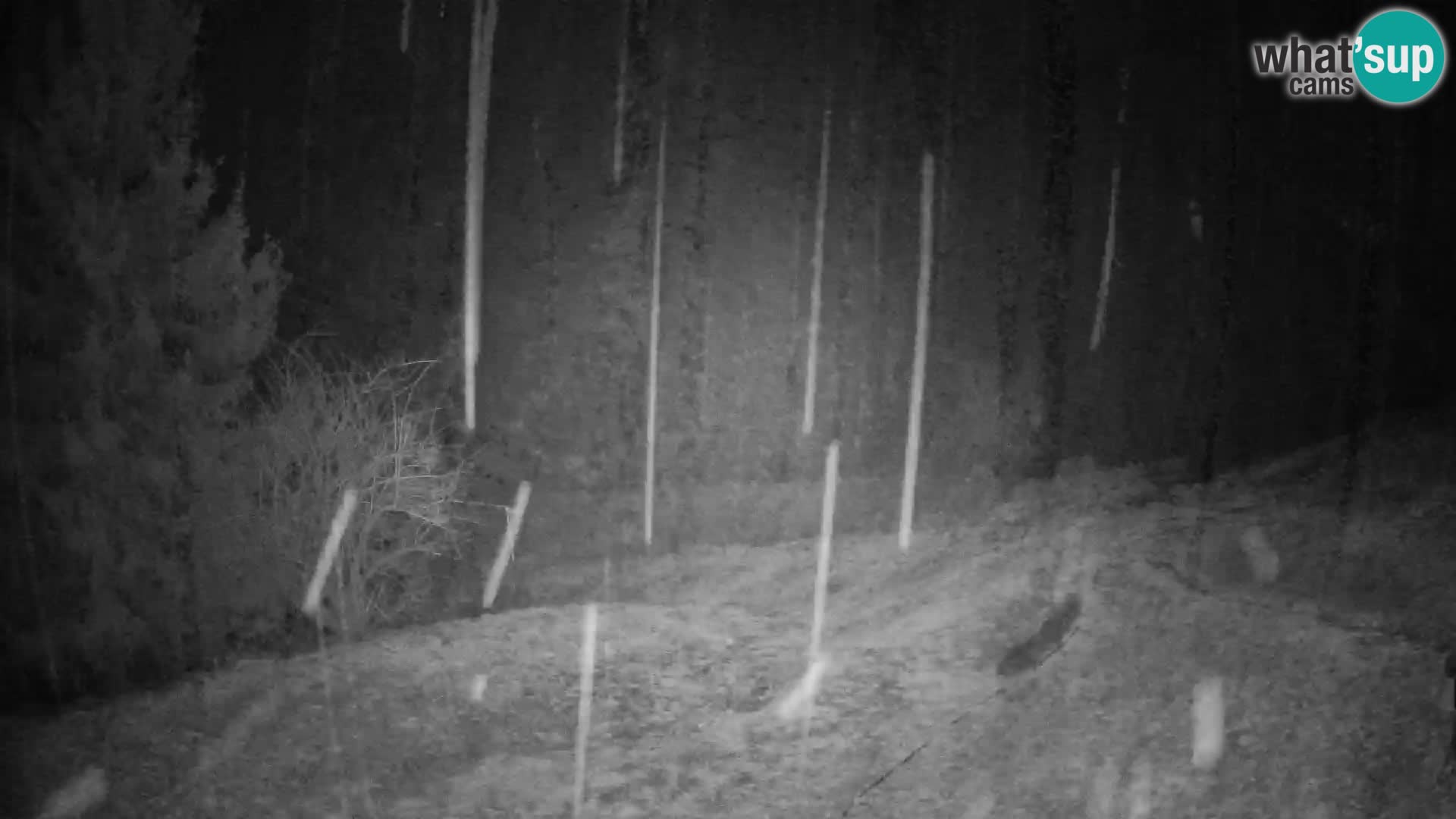 Slajka webcam | Gorenja Vas | Slowenien