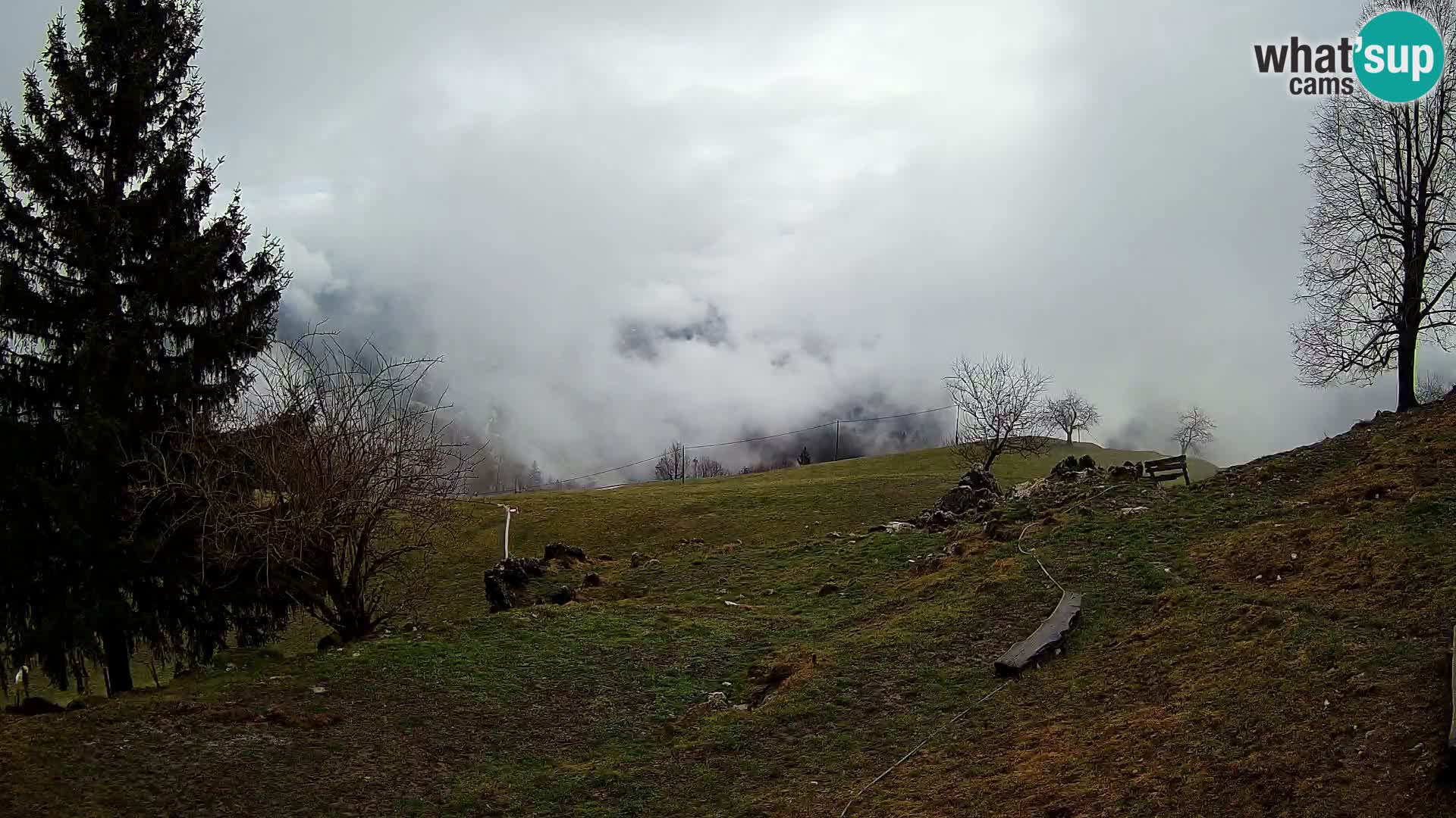 Slajka camera en vivo | Gorenja Vas | Eslovenia