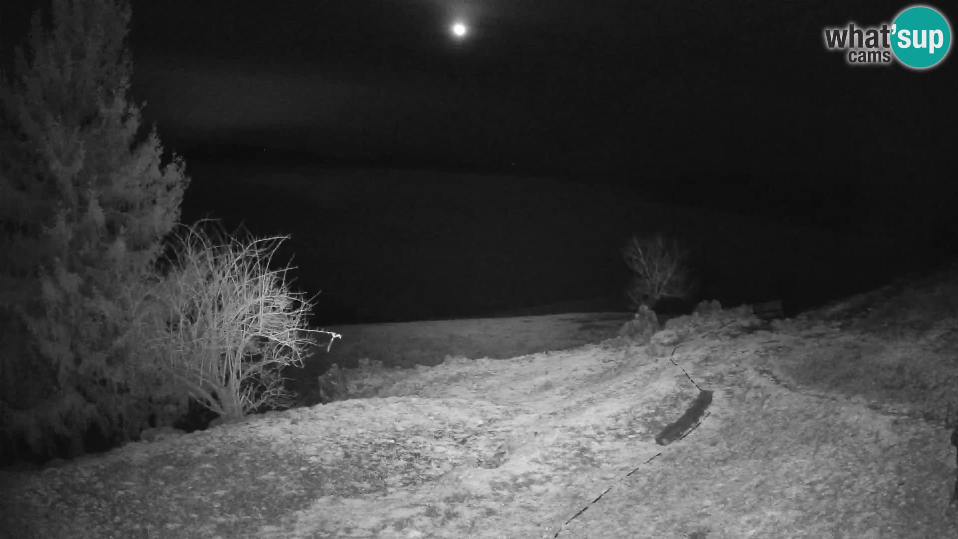 Slajka camera en vivo | Gorenja Vas | Eslovenia