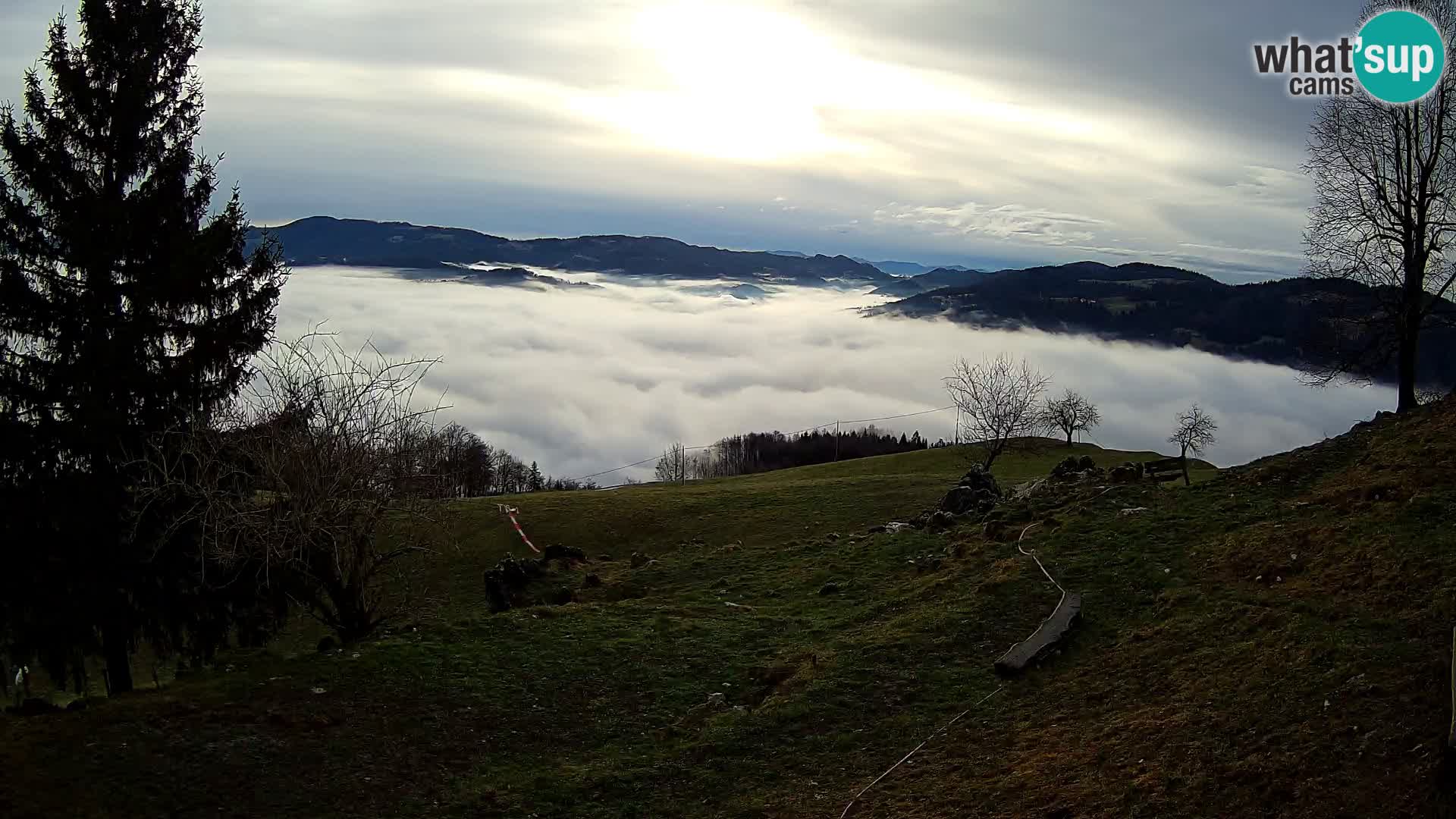 Slajka webam | Gorenja vas | Slovenia