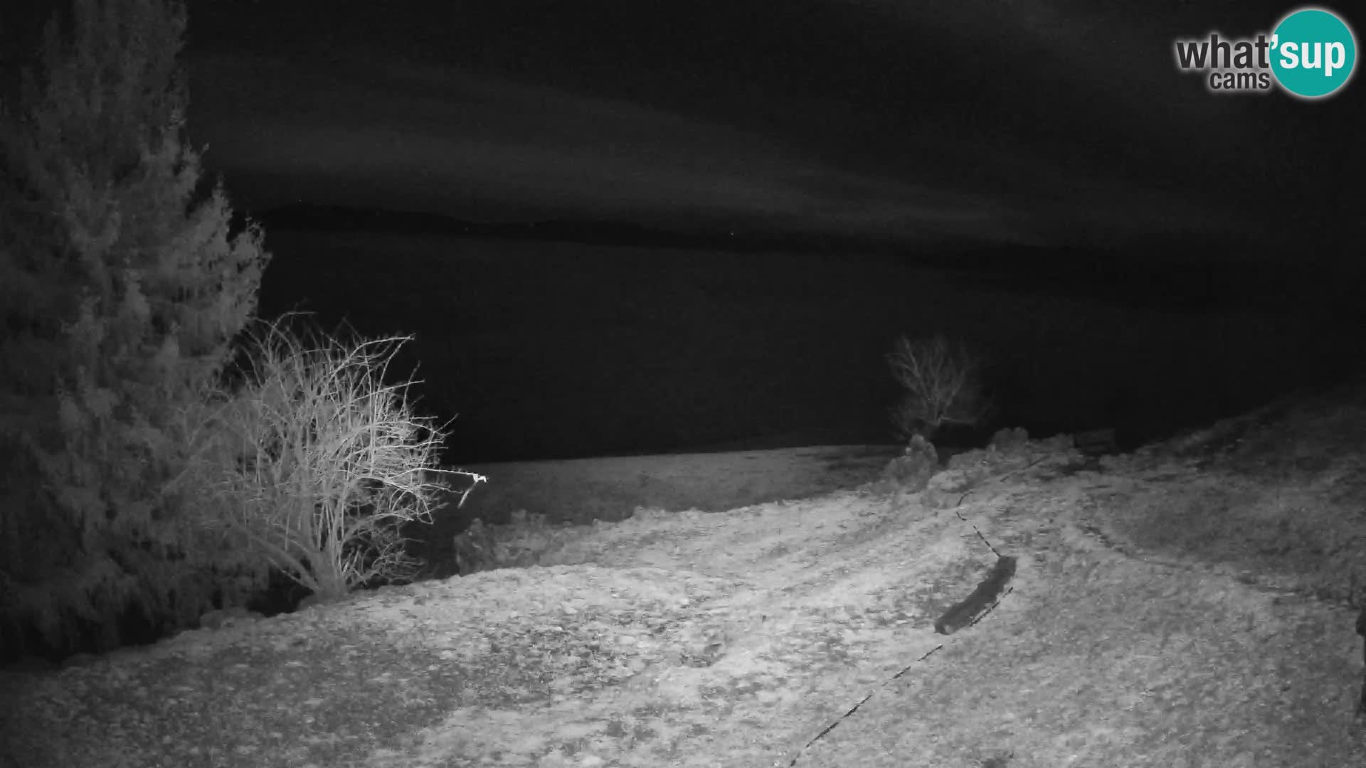 Slajka livecam | Gorenja Vas | Slovénie