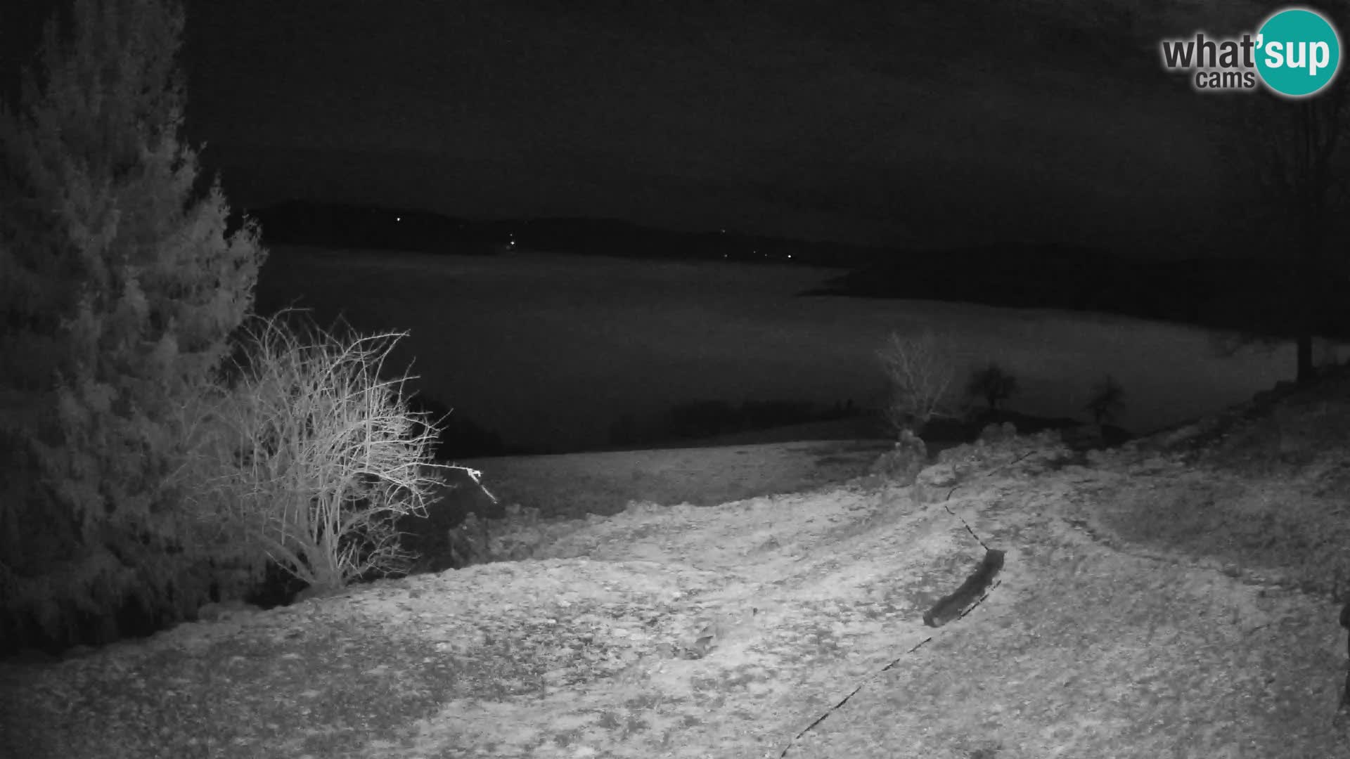 Slajka livecam | Gorenja Vas | Slovénie