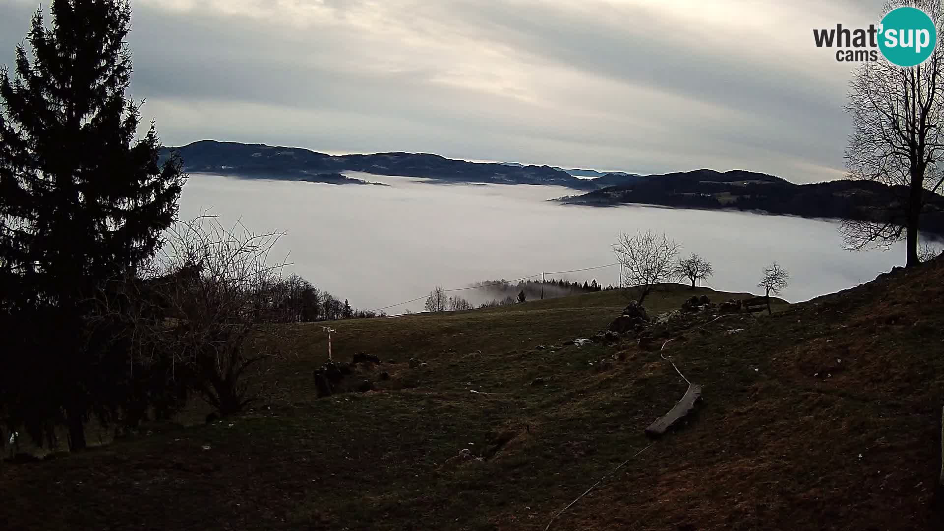 Slajka camera en vivo | Gorenja Vas | Eslovenia