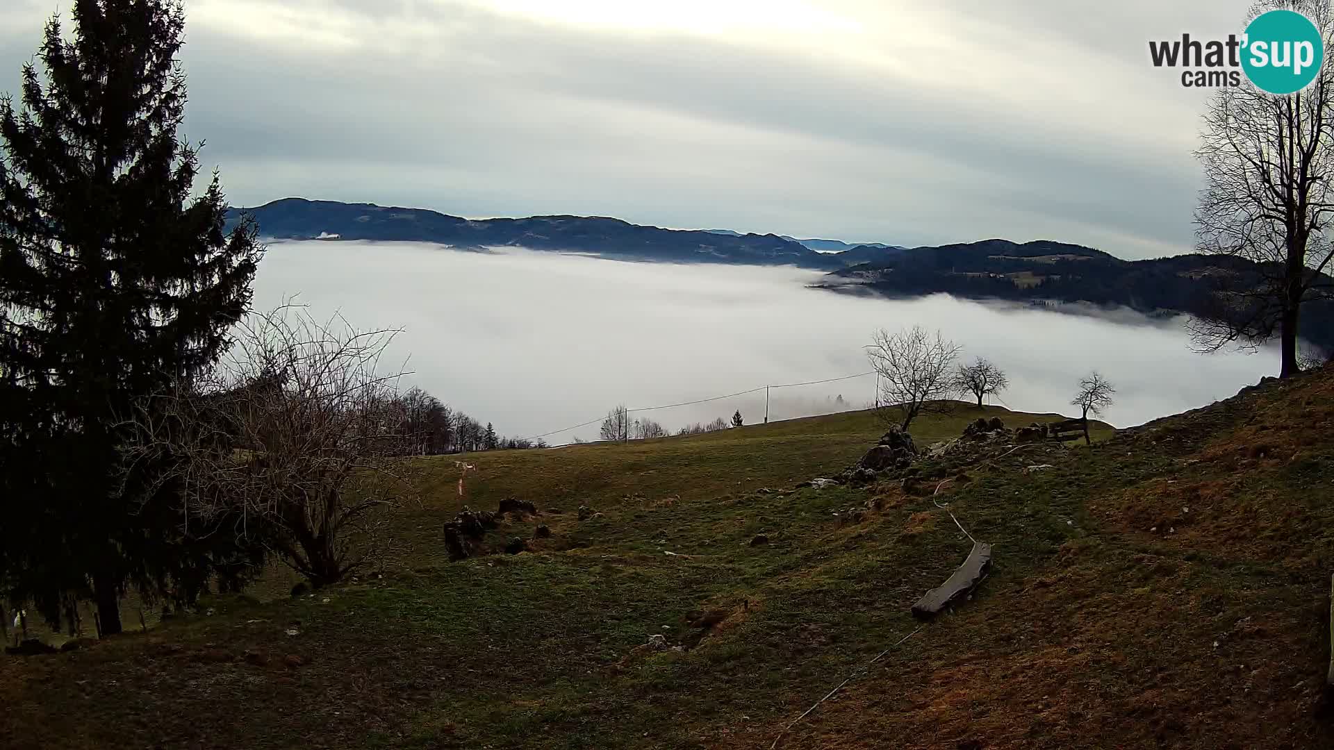 Slajka webam | Gorenja vas | Slovenia